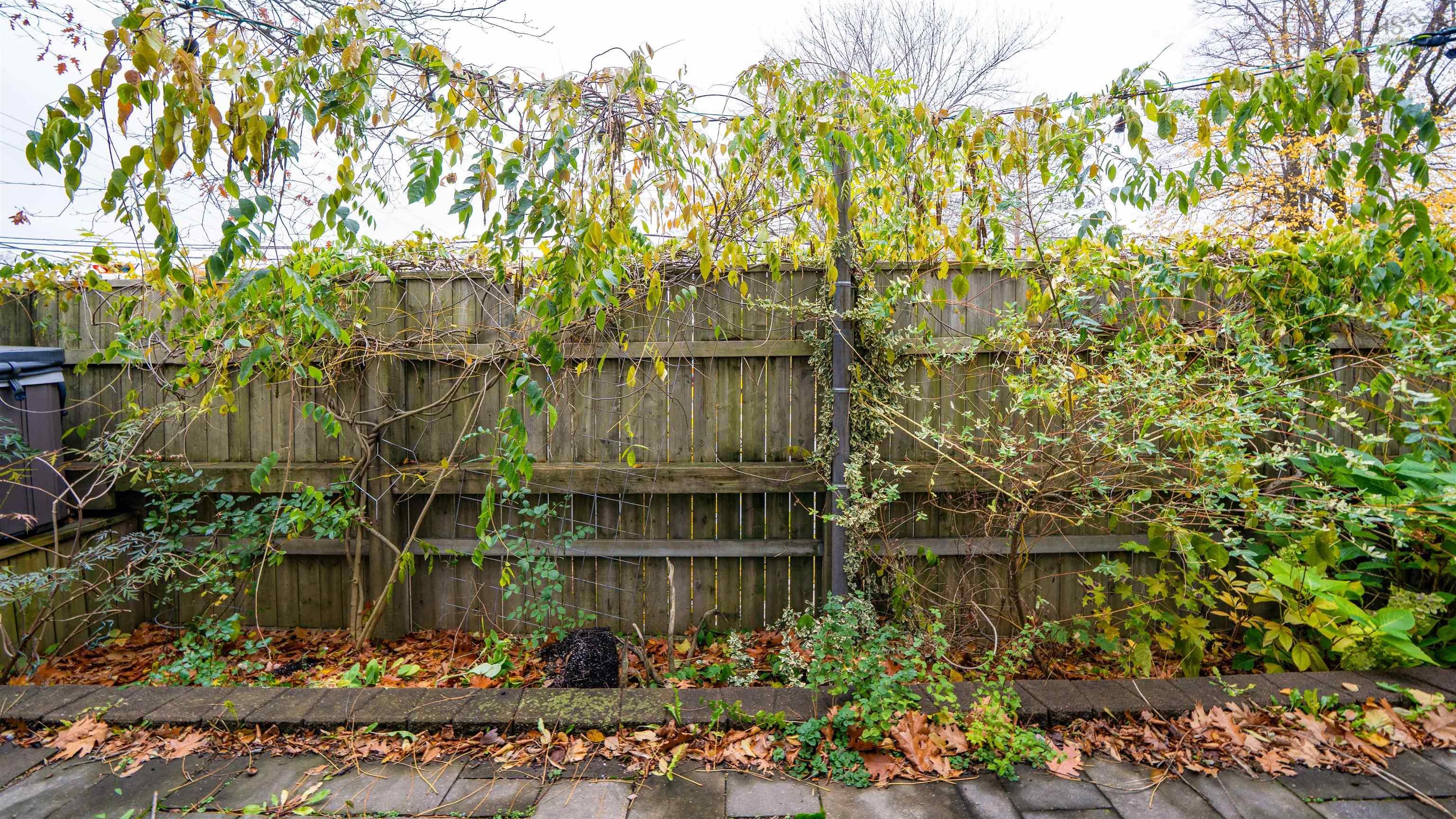 132 Prince Albert Road, Dartmouth, NS (MLS 202528164)