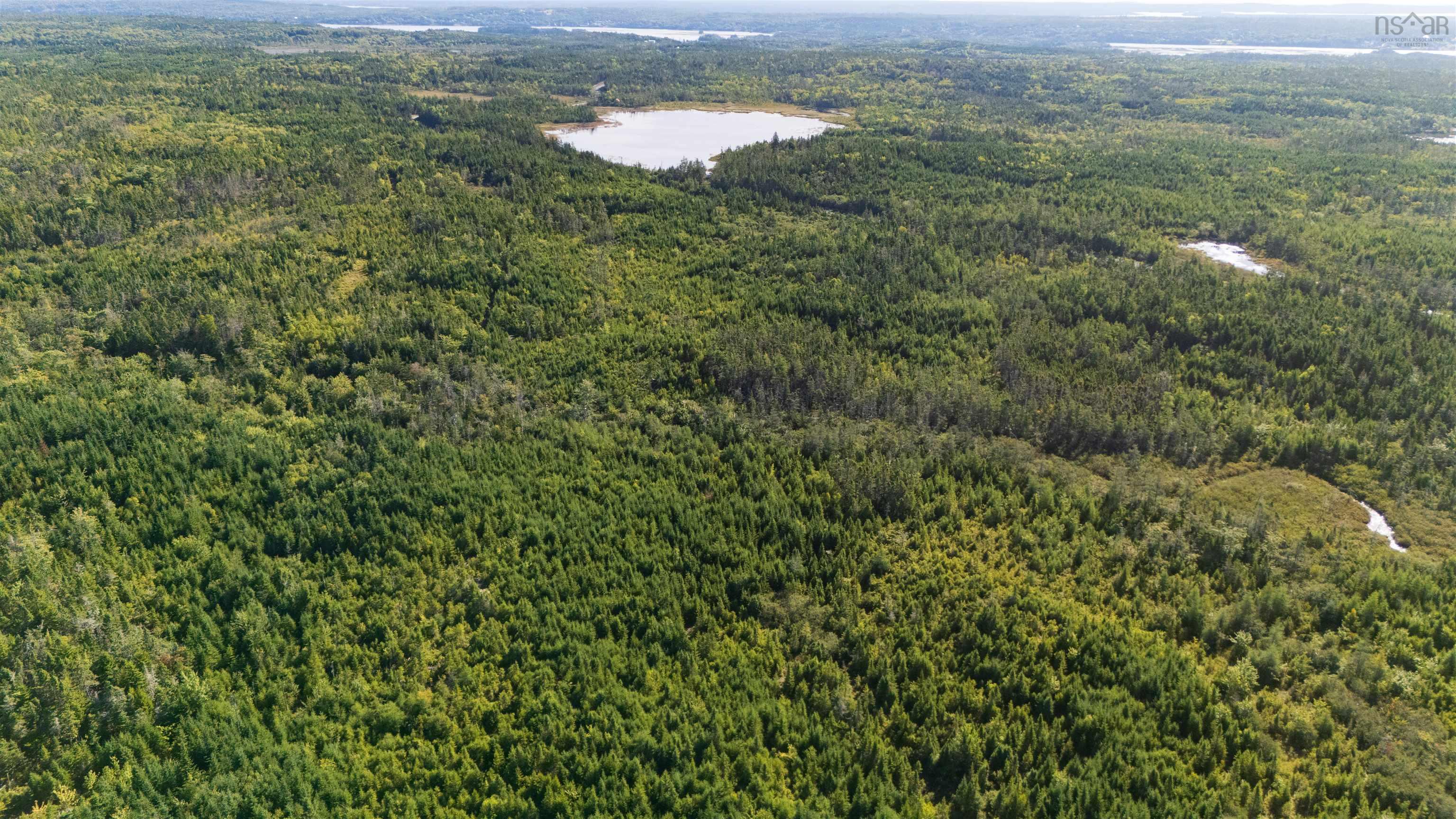 Lots Pettipas Lane, East Chezzetcook, NS (MLS 202528221)