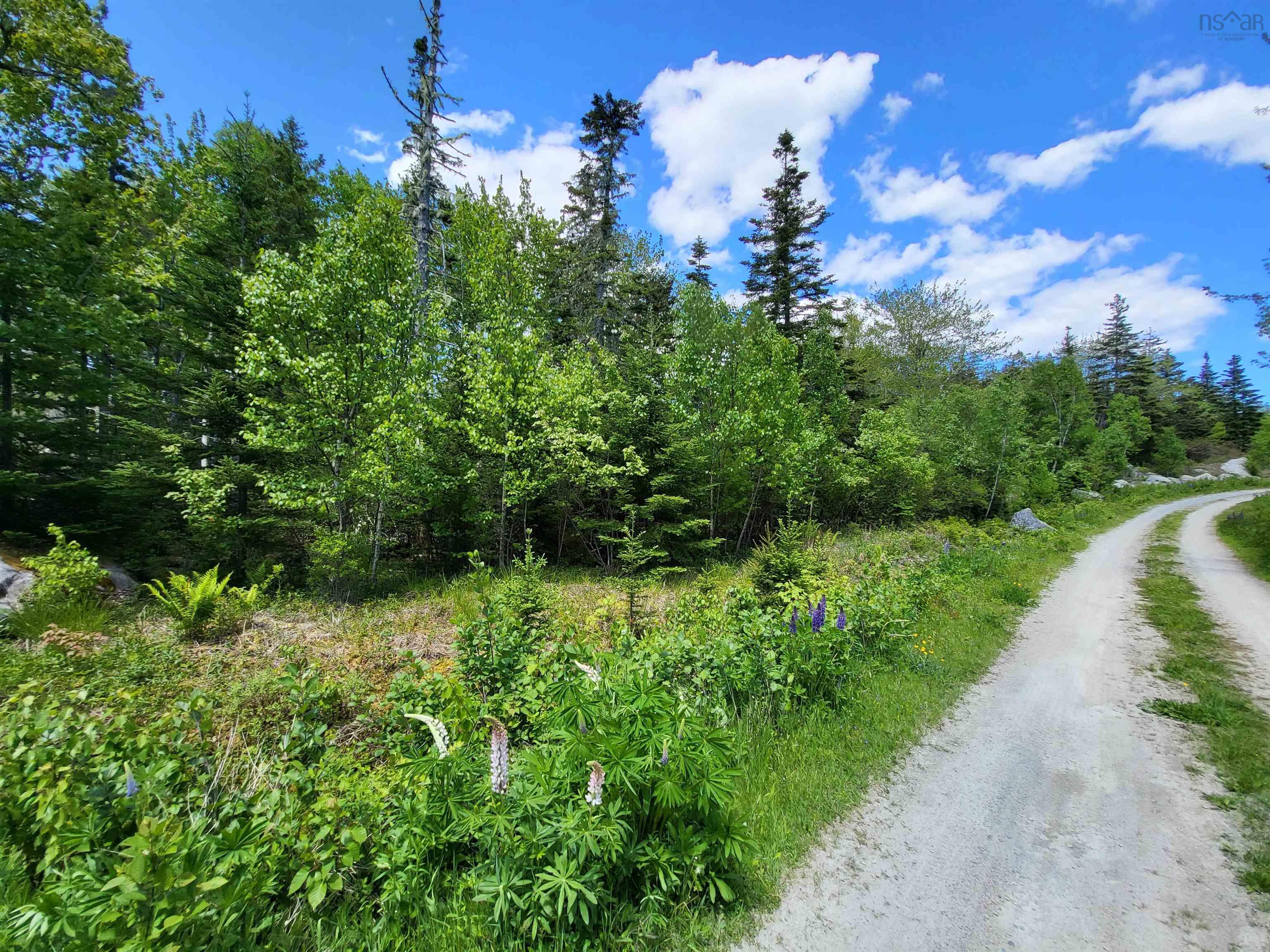 $33,000.00: Lot C4 Everetts Way, Hunts Point