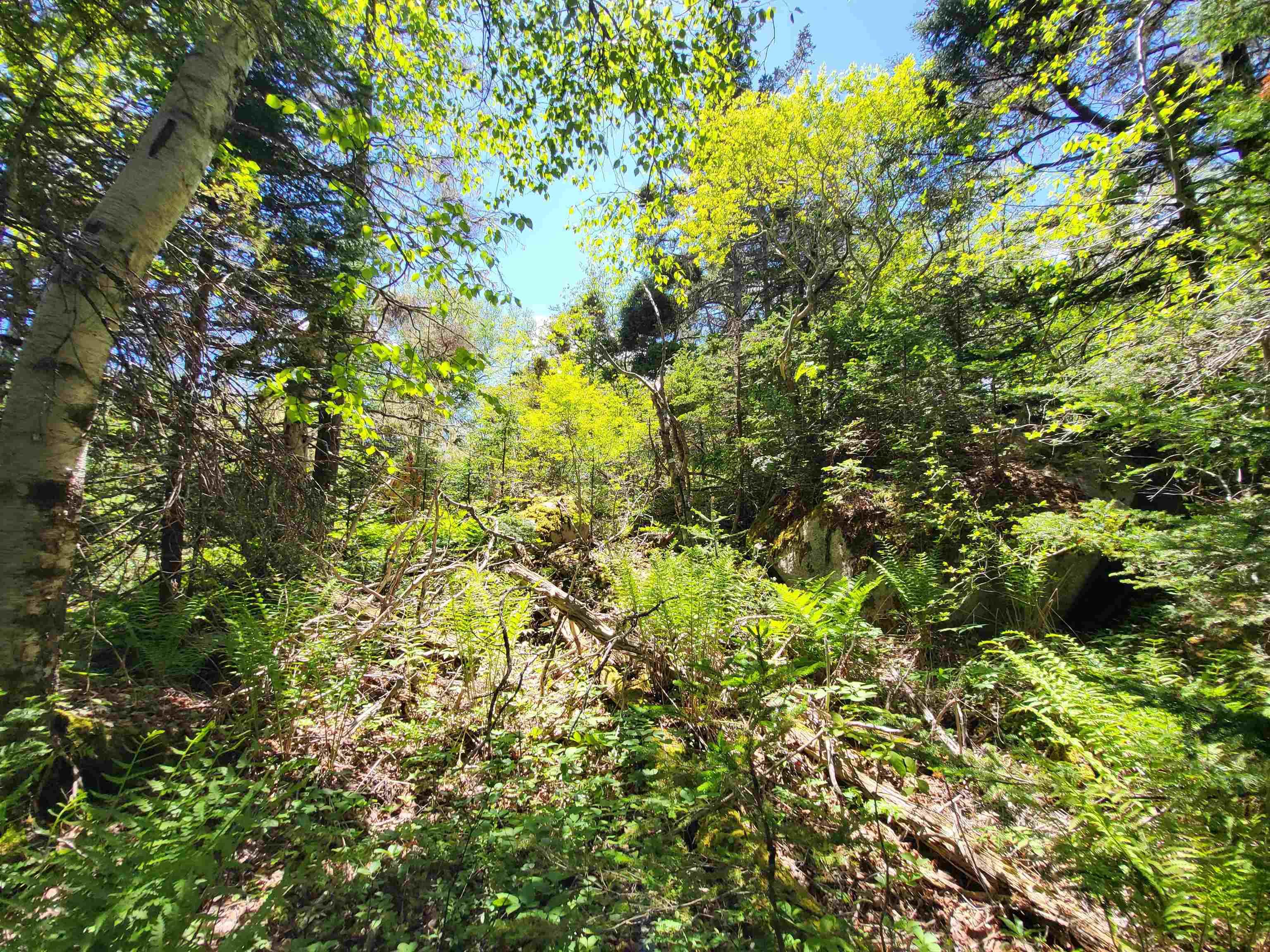 $33,000.00: Lot C4 Everetts Way, Hunts Point