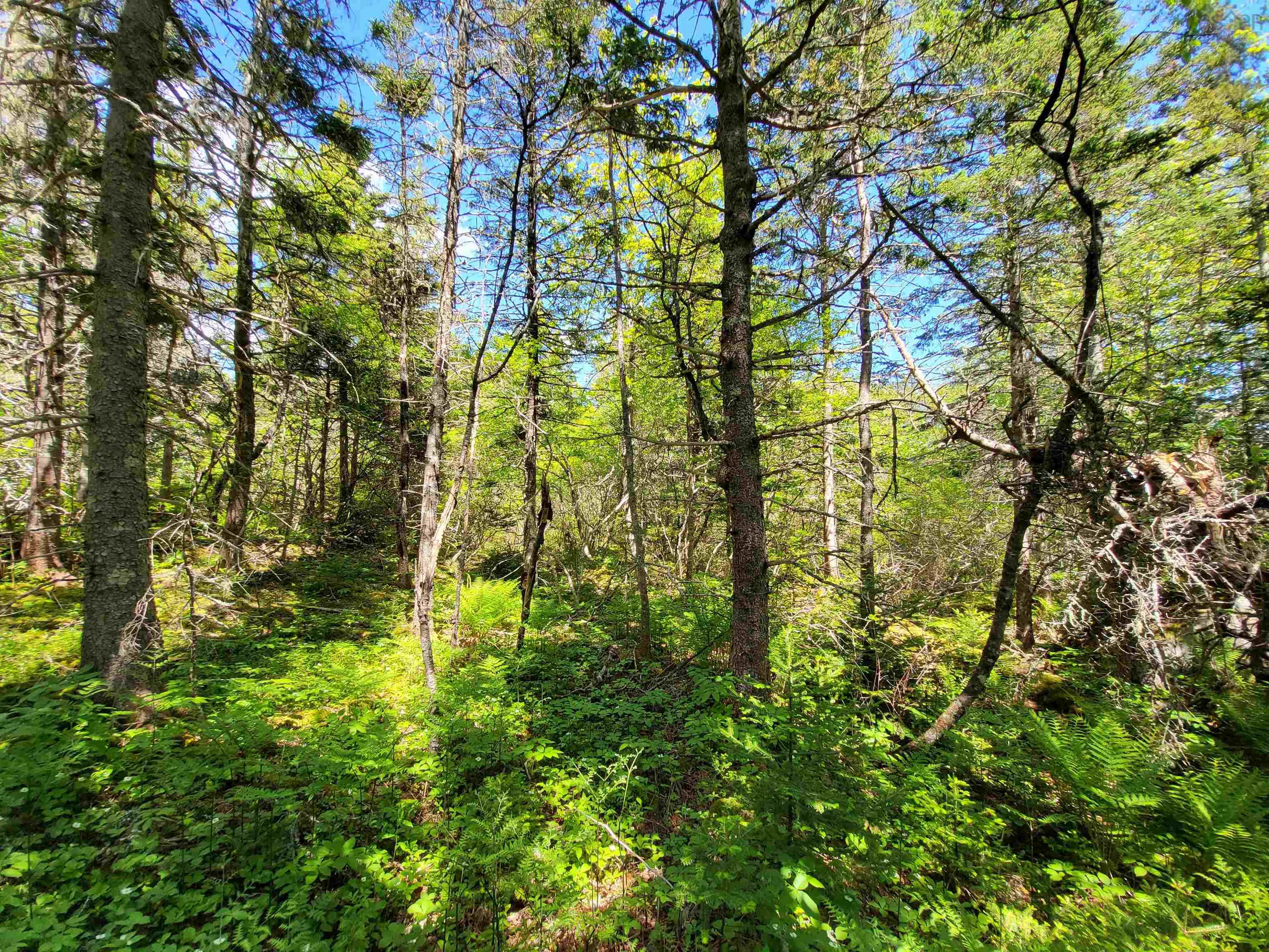 $33,000.00: Lot C4 Everetts Way, Hunts Point