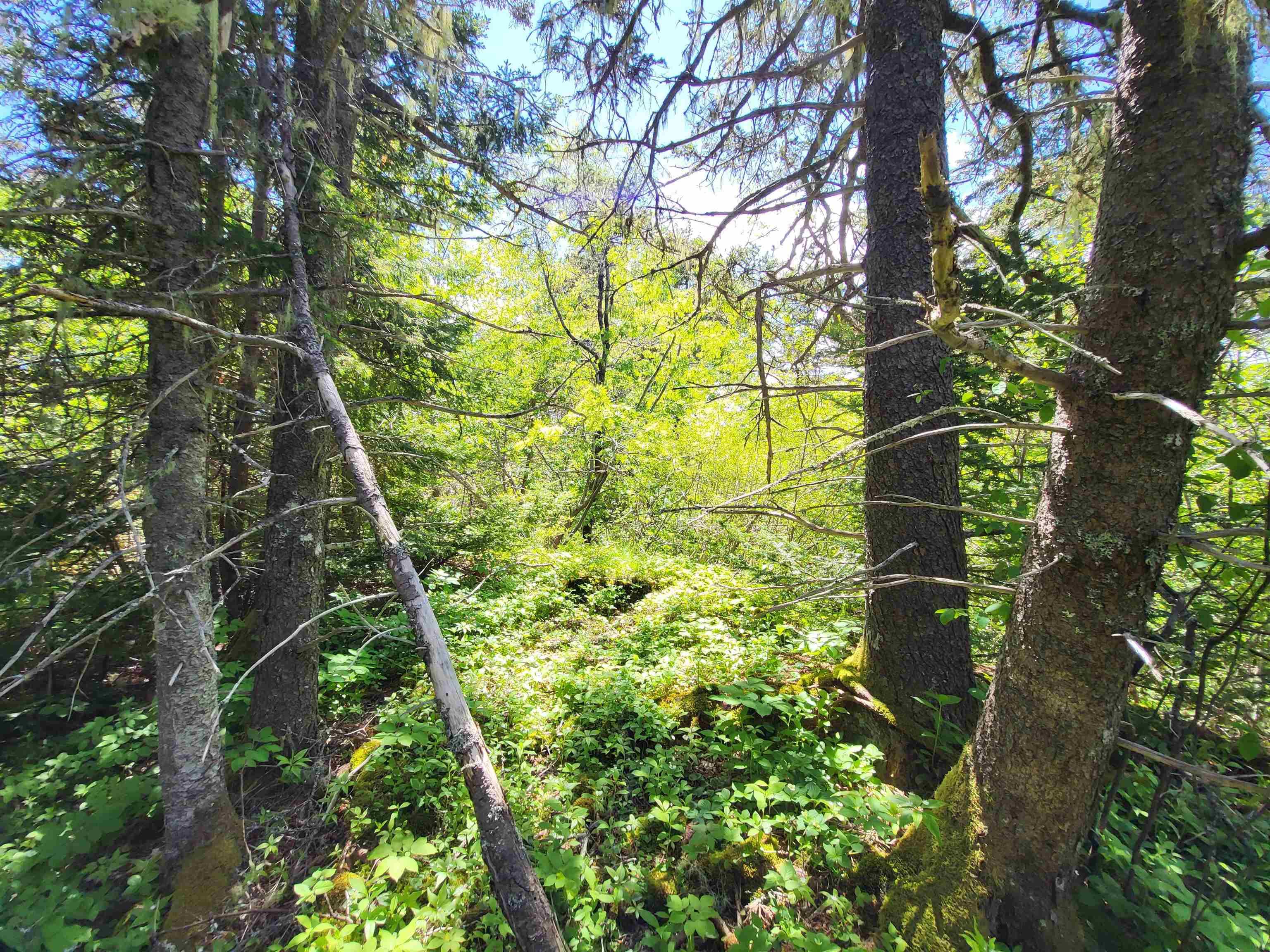 $33,000.00: Lot C4 Everetts Way, Hunts Point