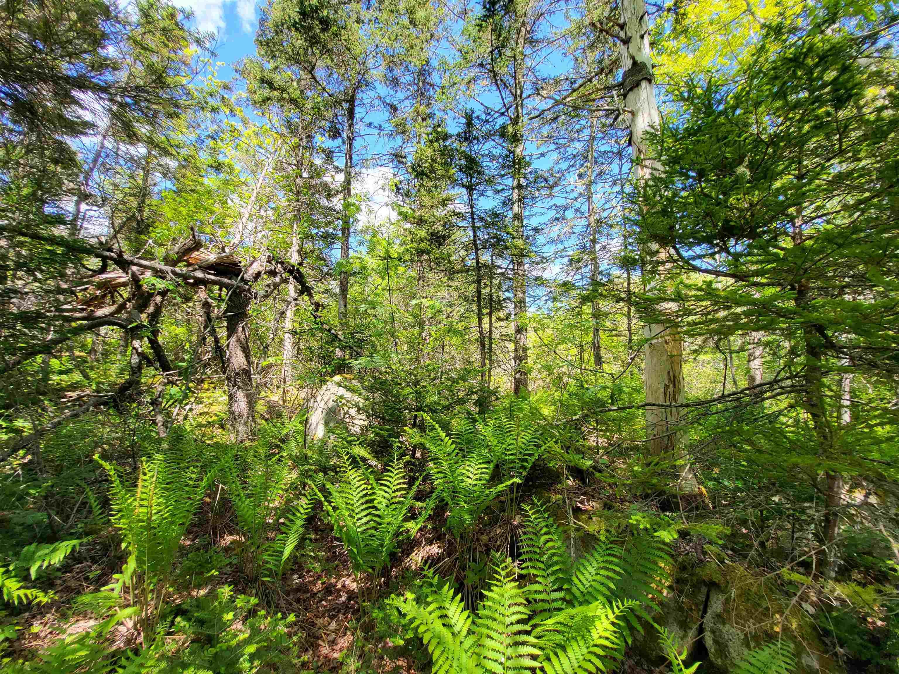 $33,000.00: Lot C4 Everetts Way, Hunts Point