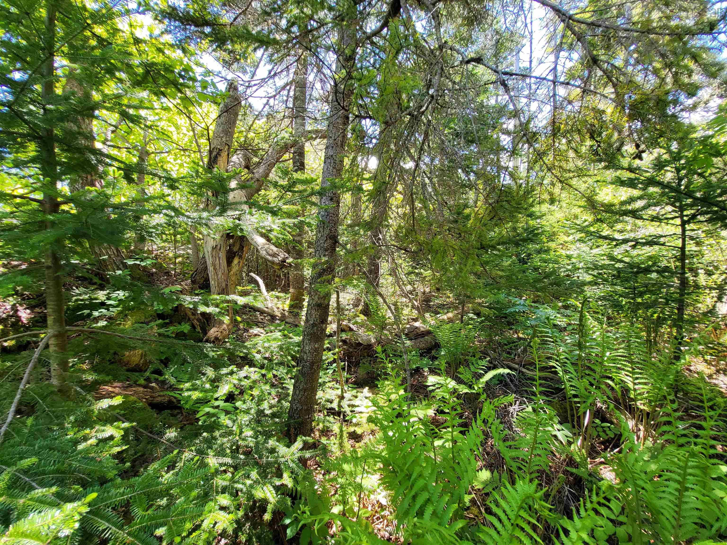 $33,000.00: Lot C5 Everetts Way, Hunts Point