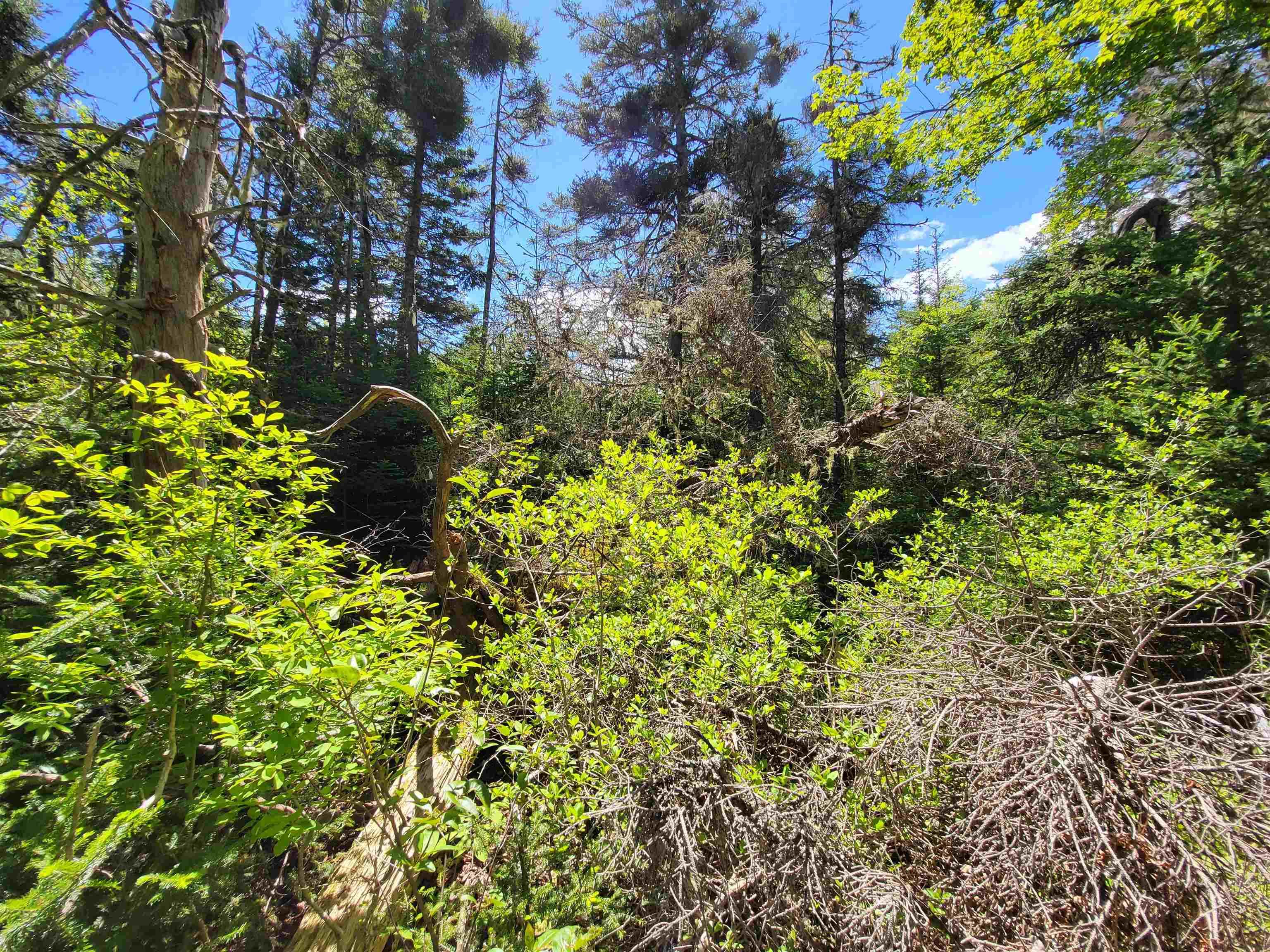 $33,000.00: Lot C5 Everetts Way, Hunts Point