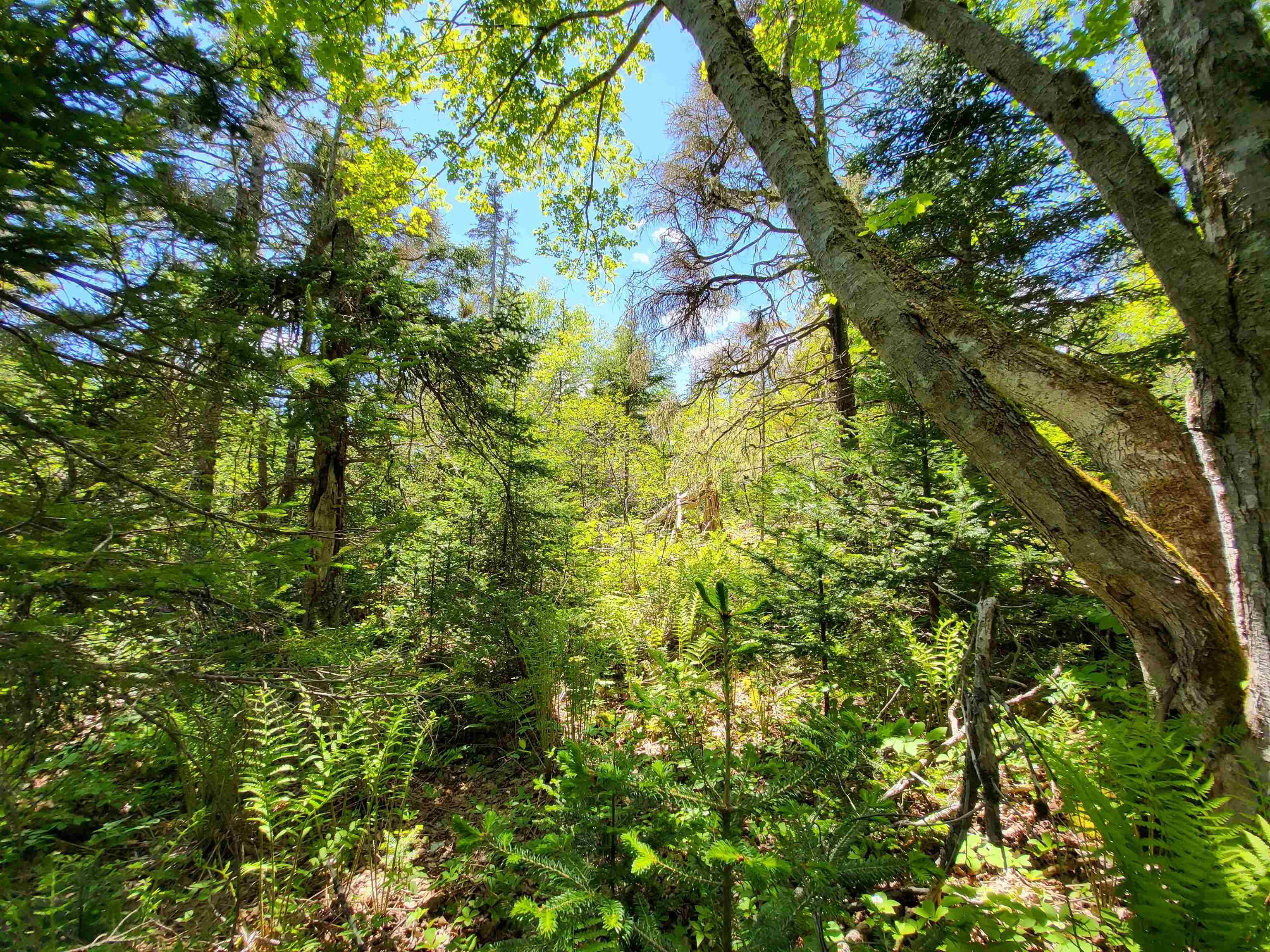 $33,000.00: Lot C5 Everetts Way, Hunts Point