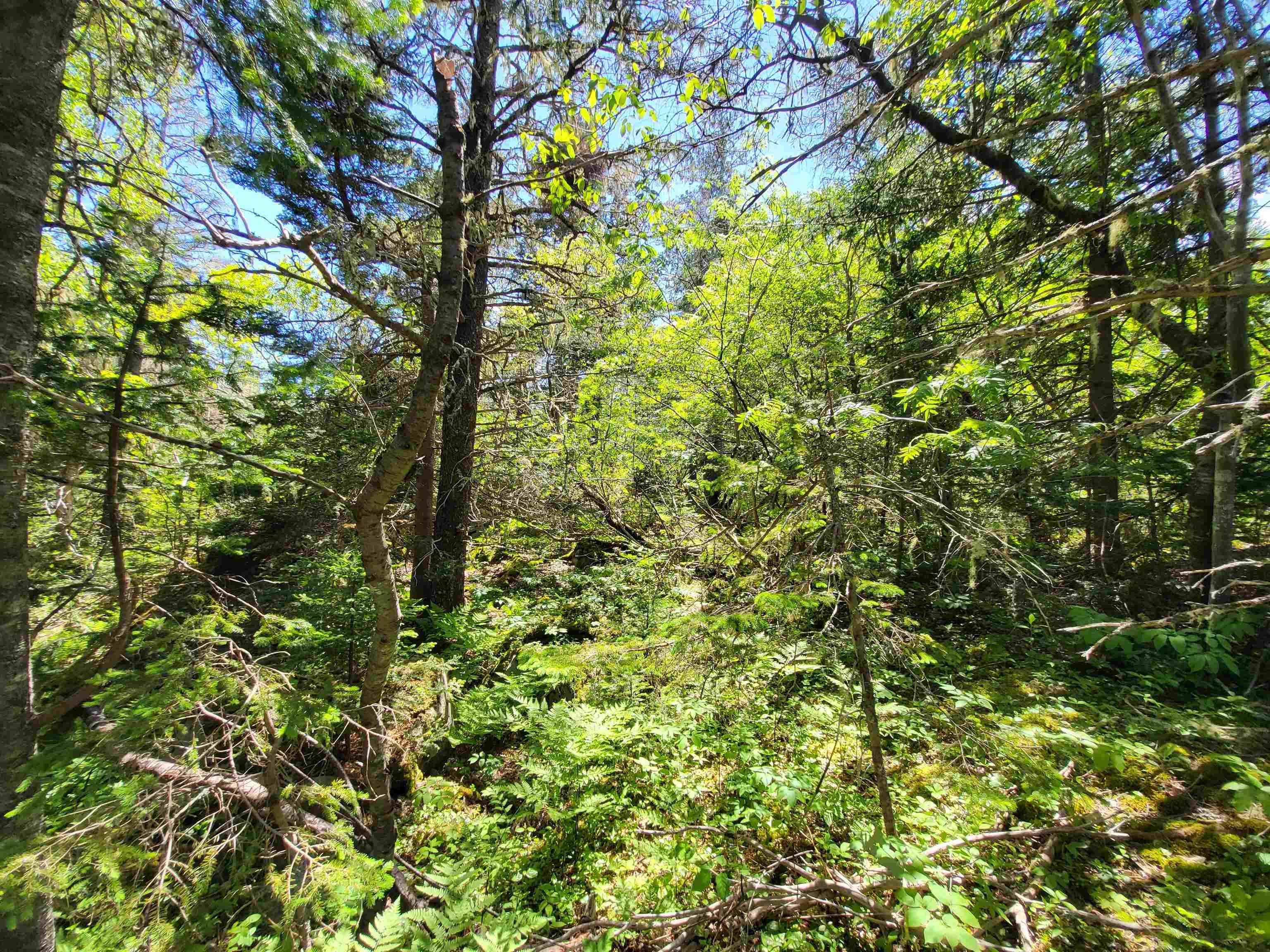 $33,000.00: Lot C5 Everetts Way, Hunts Point