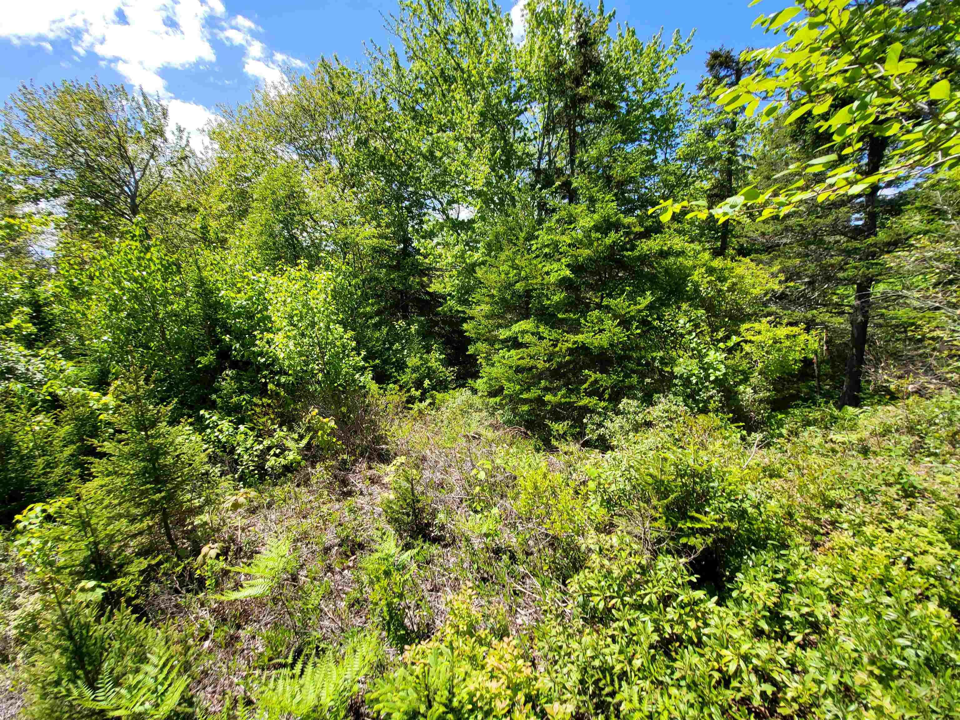 $33,000.00: Lot C5 Everetts Way, Hunts Point