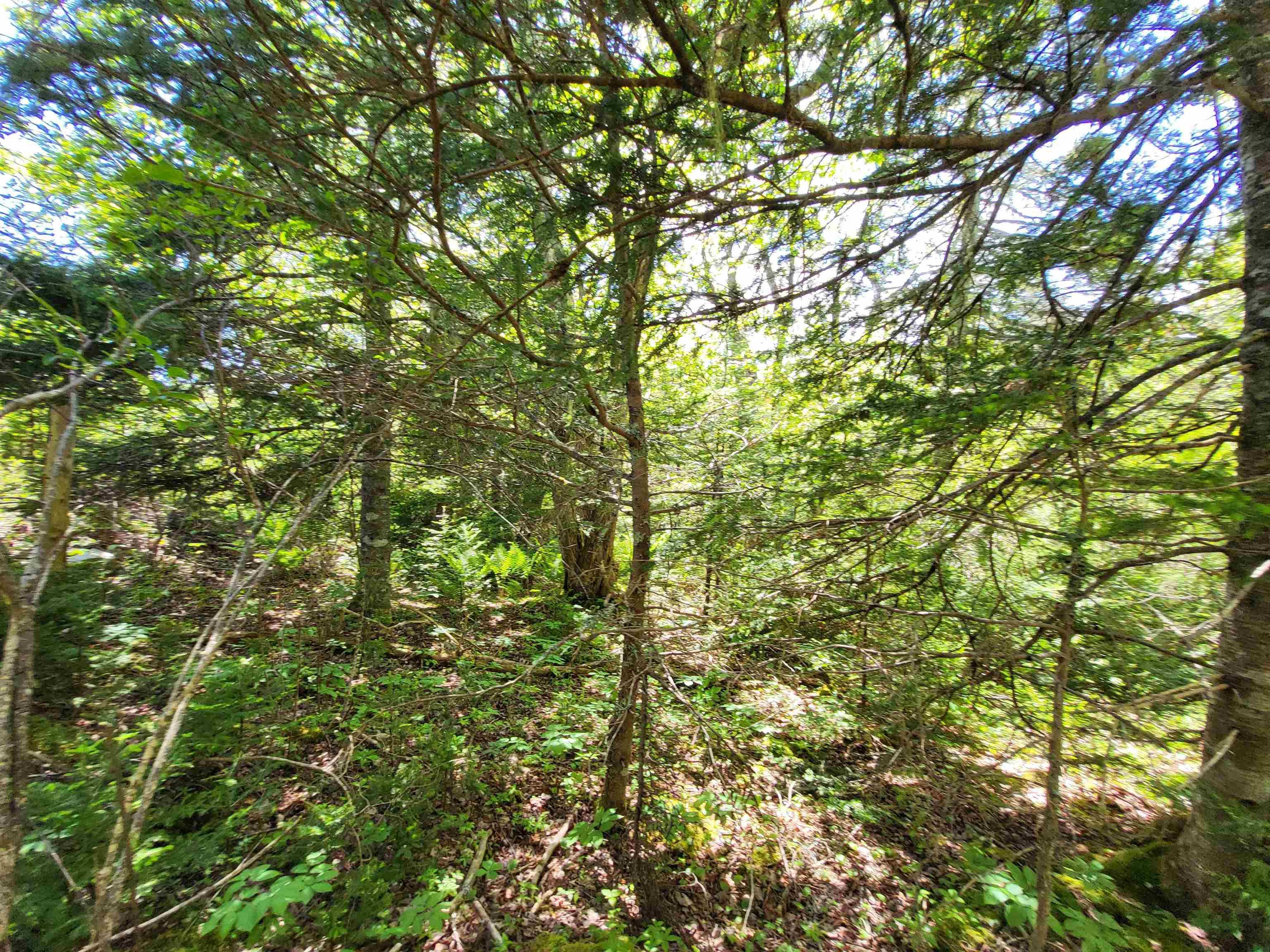 $33,000.00: Lot C5 Everetts Way, Hunts Point