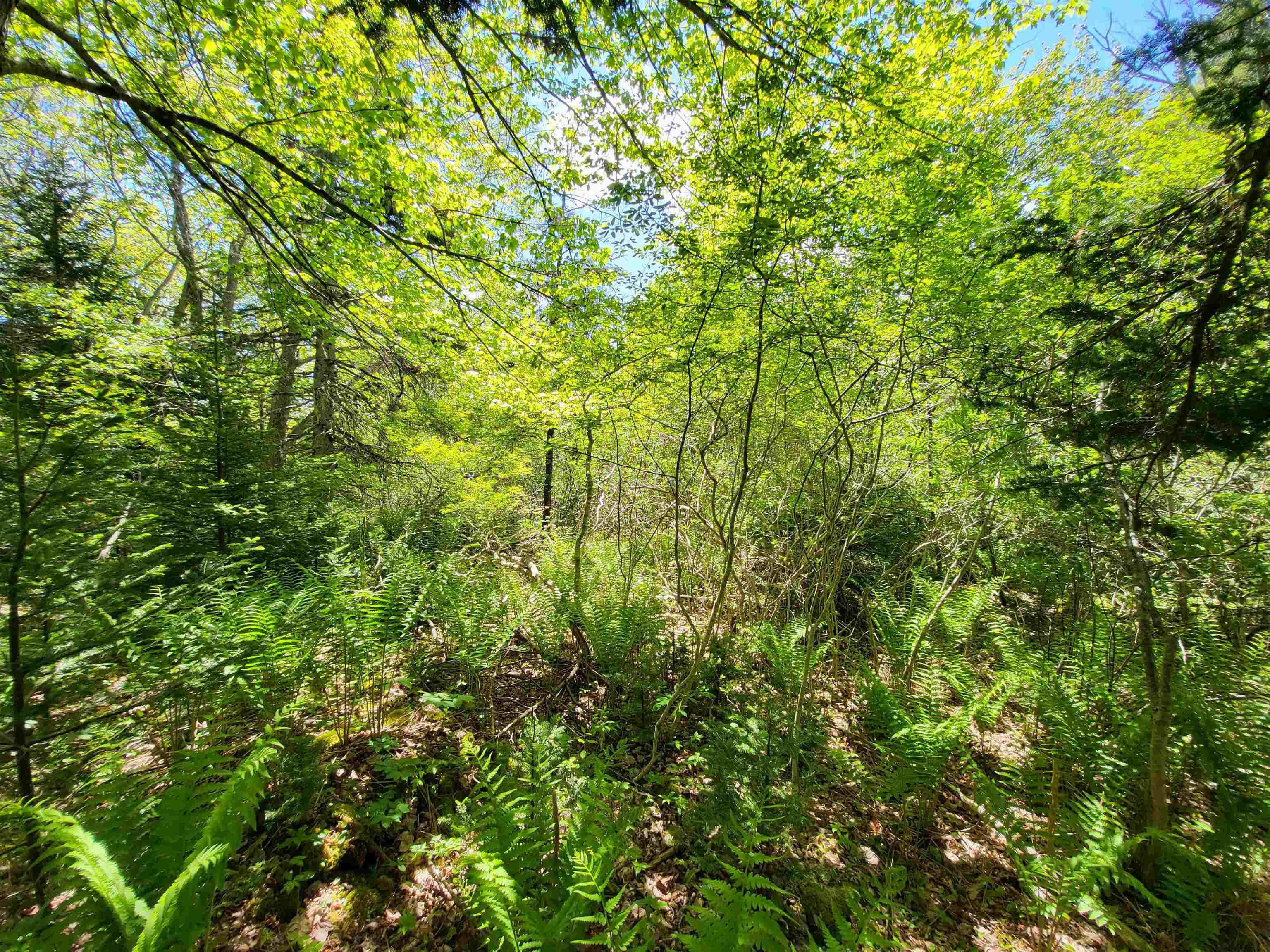 $33,000.00: Lot C5 Everetts Way, Hunts Point