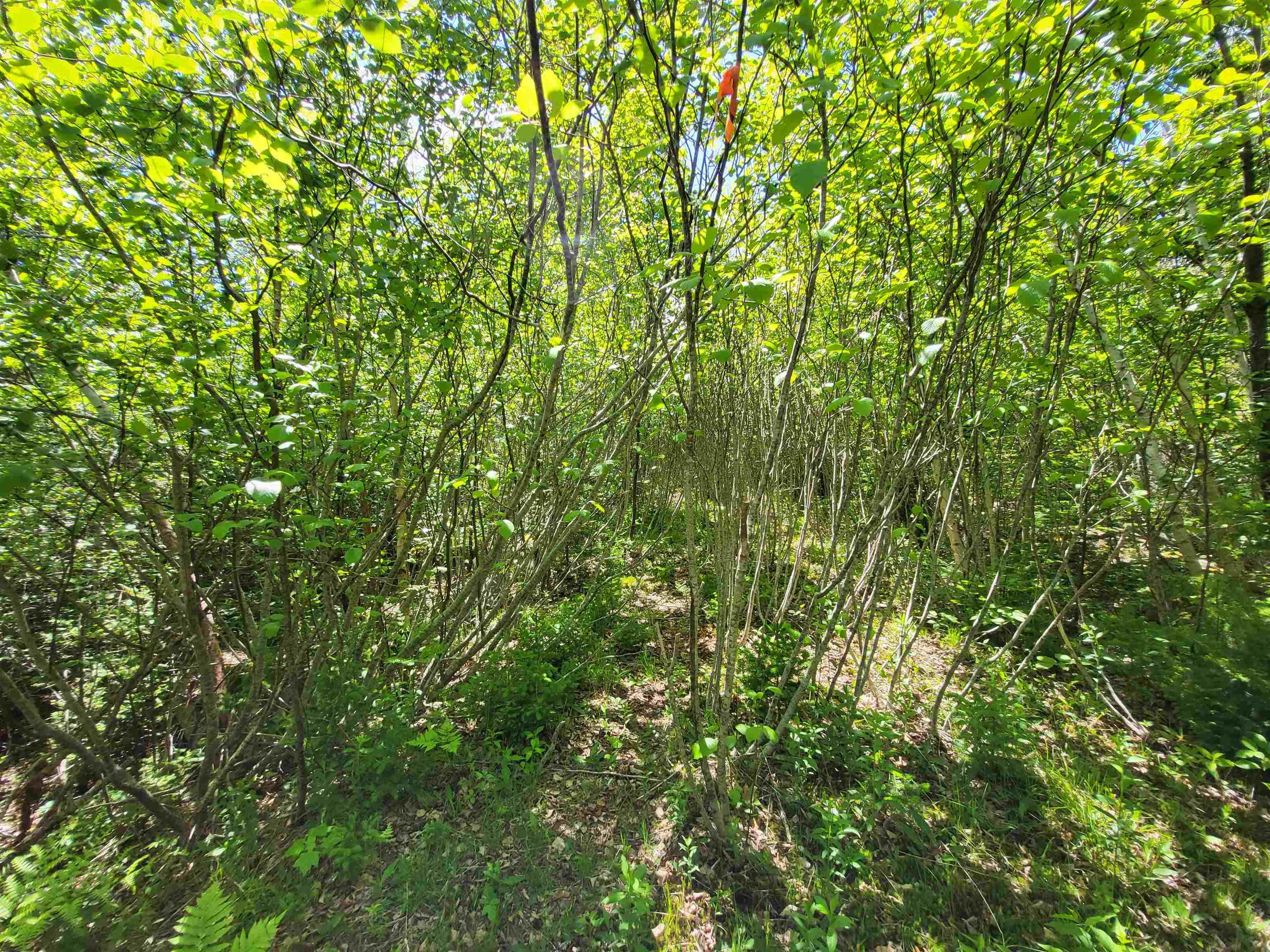 $33,000.00: Lot C5 Everetts Way, Hunts Point