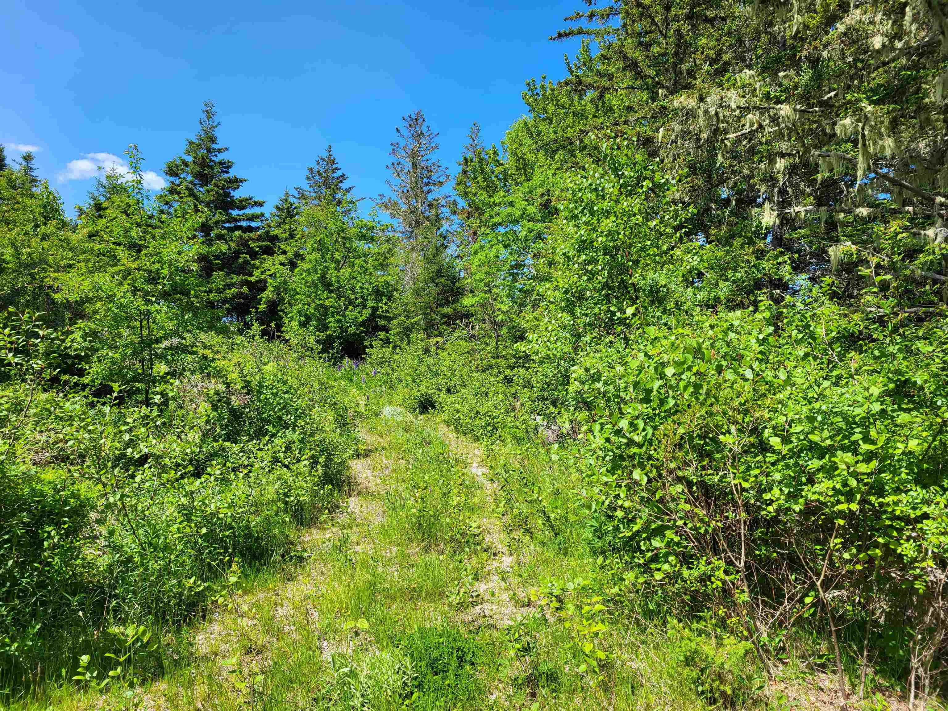 $33,000.00: Lot C5 Everetts Way, Hunts Point