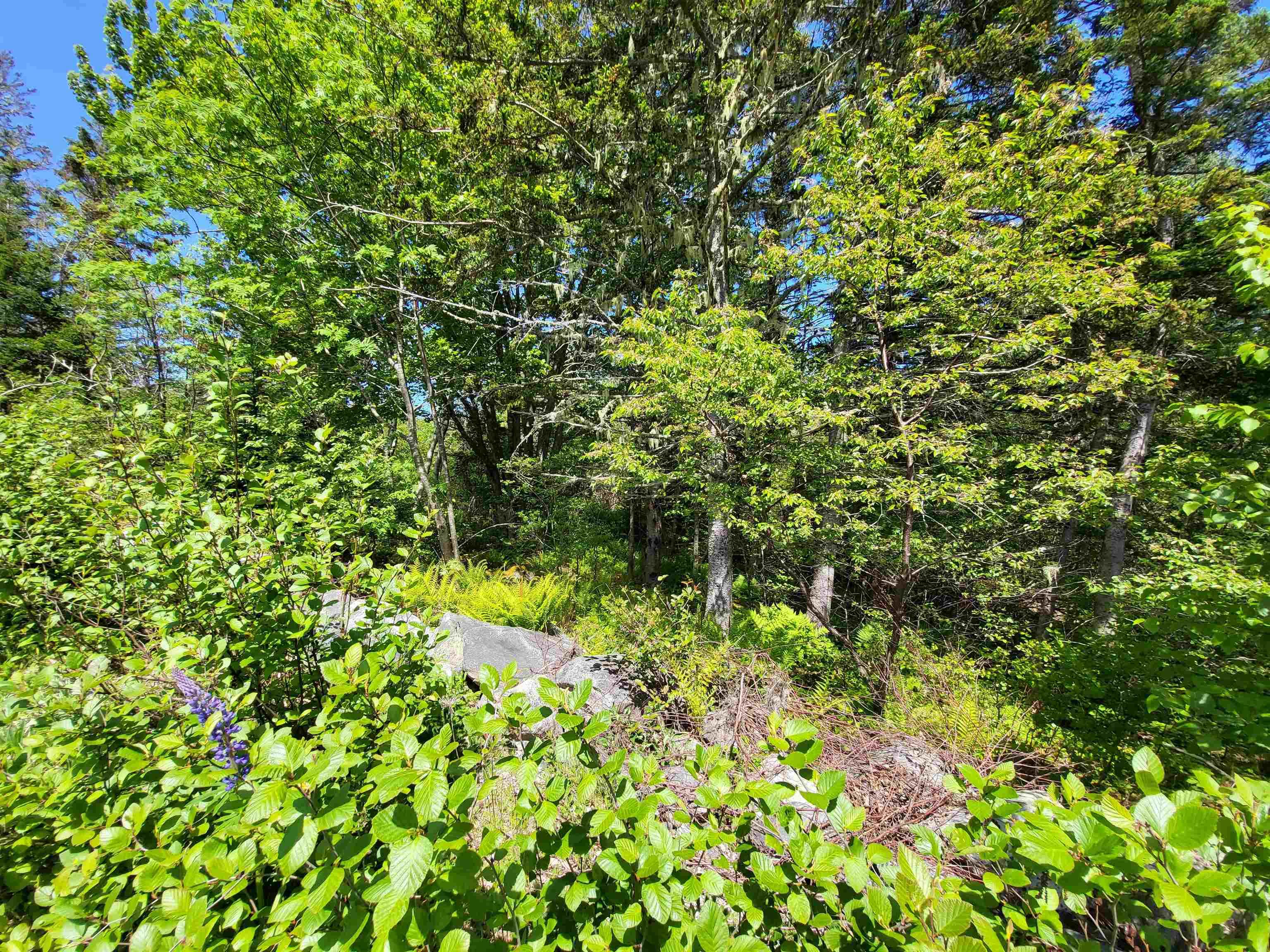 $33,000.00: Lot C5 Everetts Way, Hunts Point