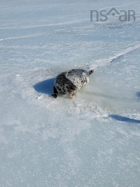 $448,000.00: 1353 Blue Sea Road, Malagash Point