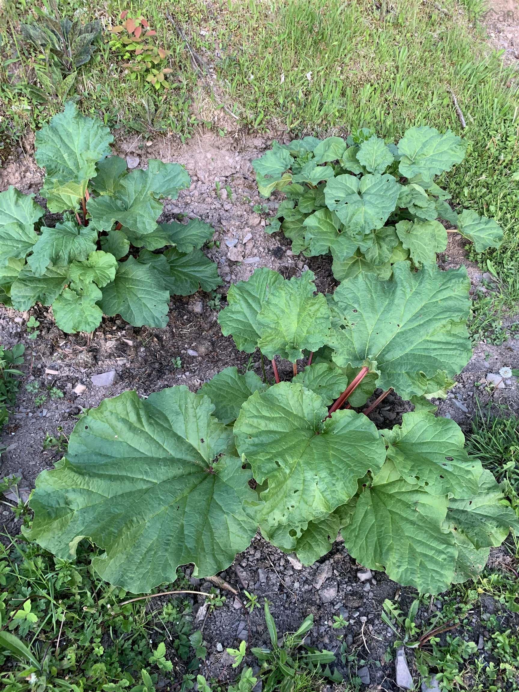 $489,900.00: 926 Highway 7, Lochaber