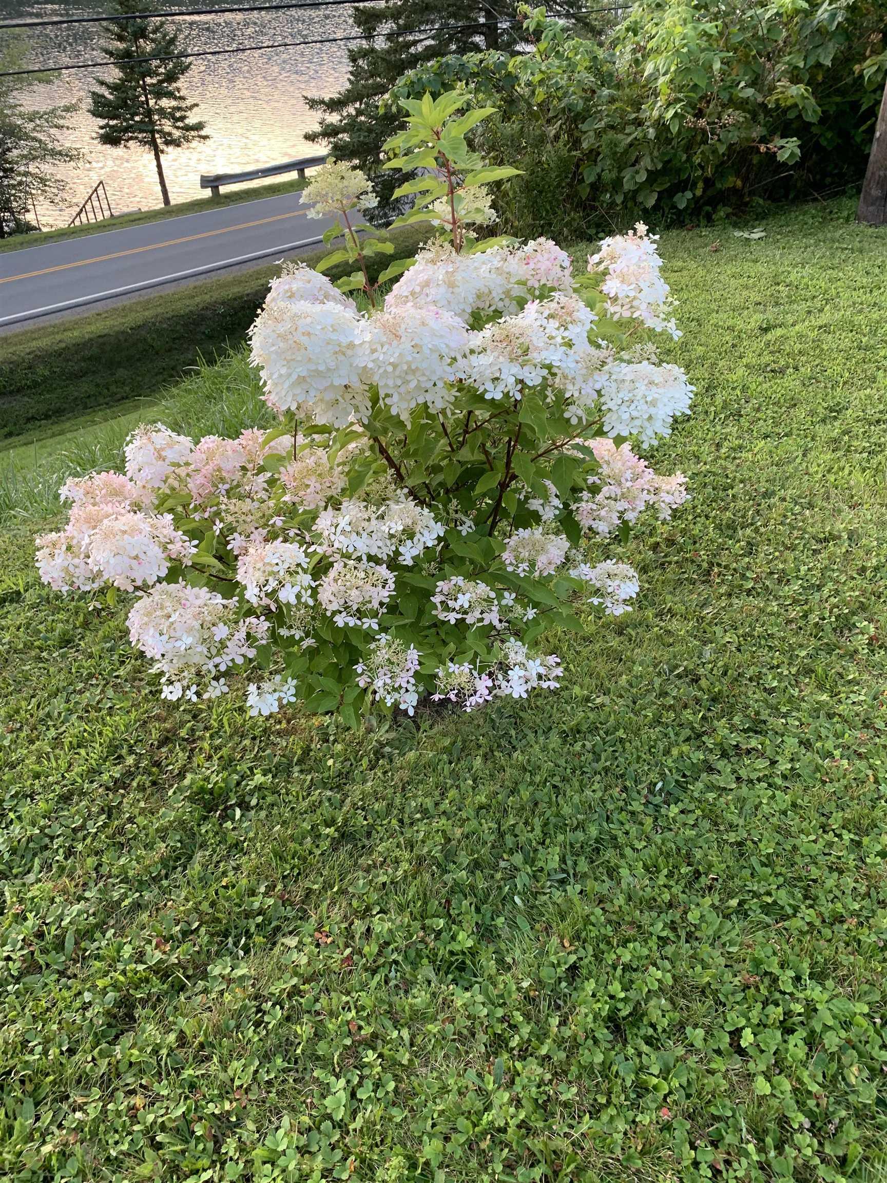 $489,900.00: 926 Highway 7, Lochaber