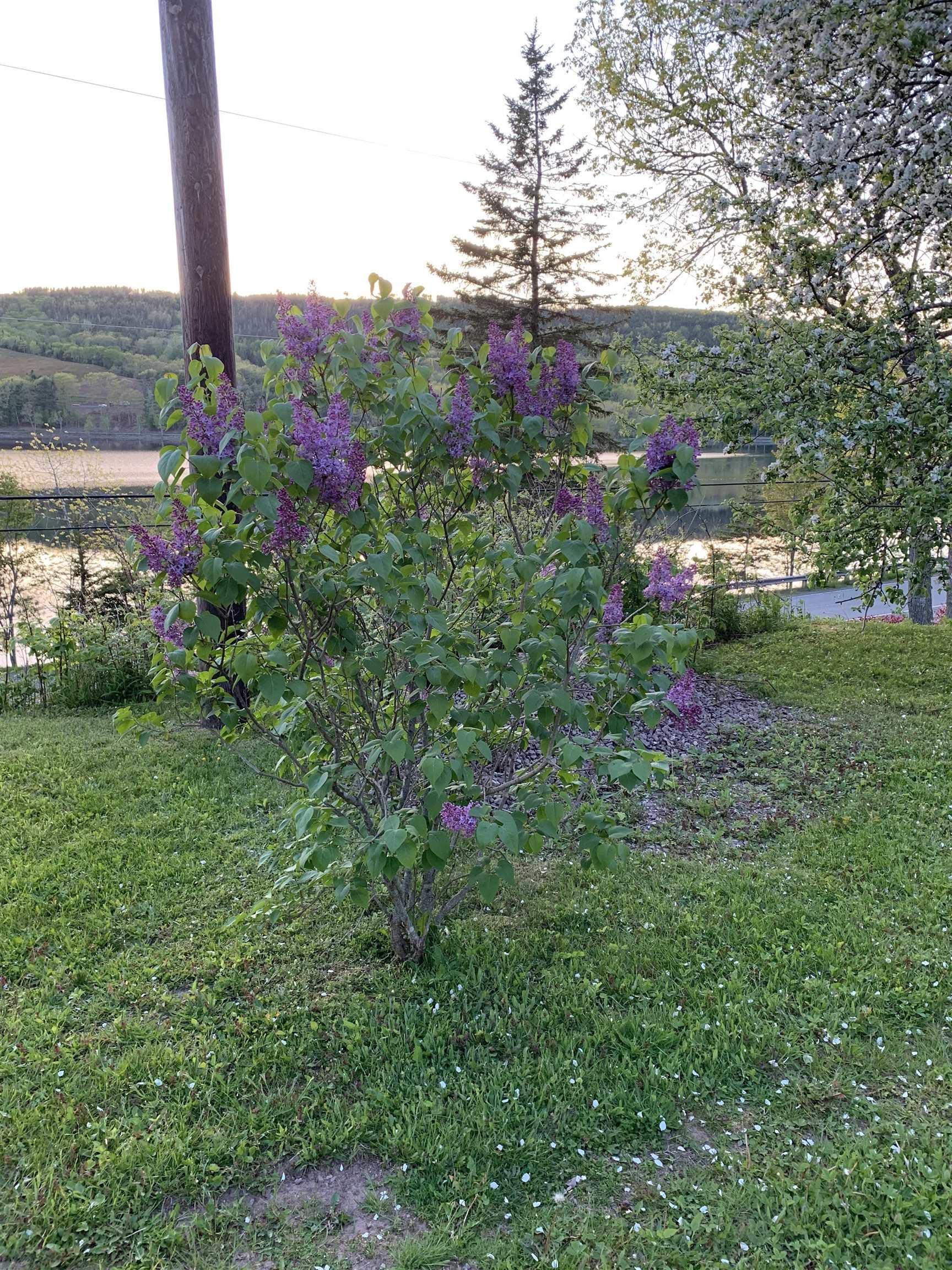 $489,900.00: 926 Highway 7, Lochaber