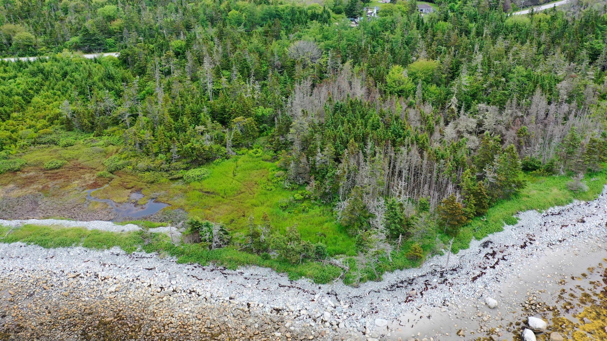 $35,000.00: Shore Road, North East Harbour