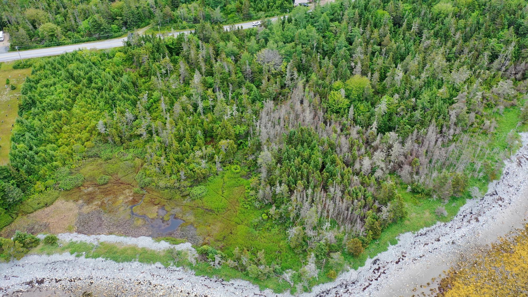 $35,000.00: Shore Road, North East Harbour