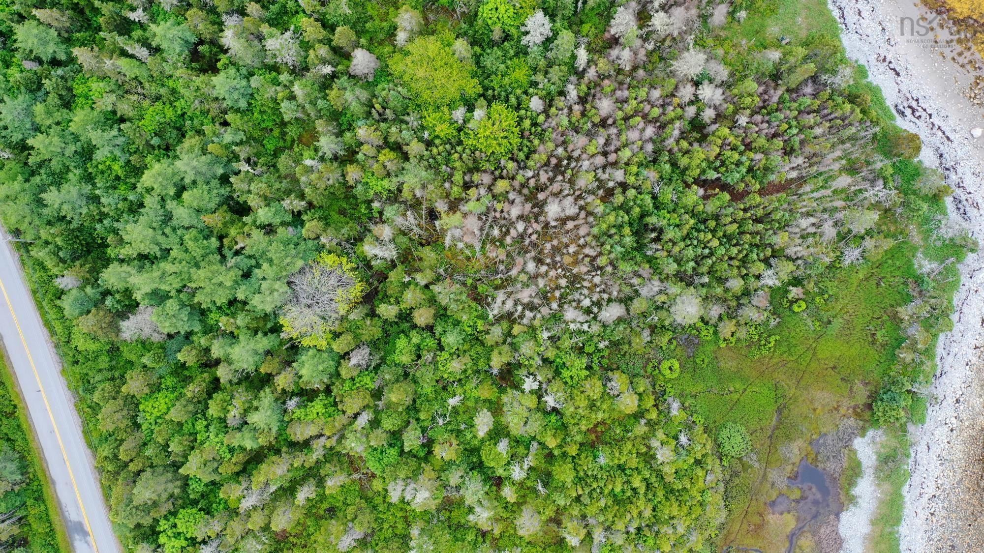 $35,000.00: Shore Road, North East Harbour