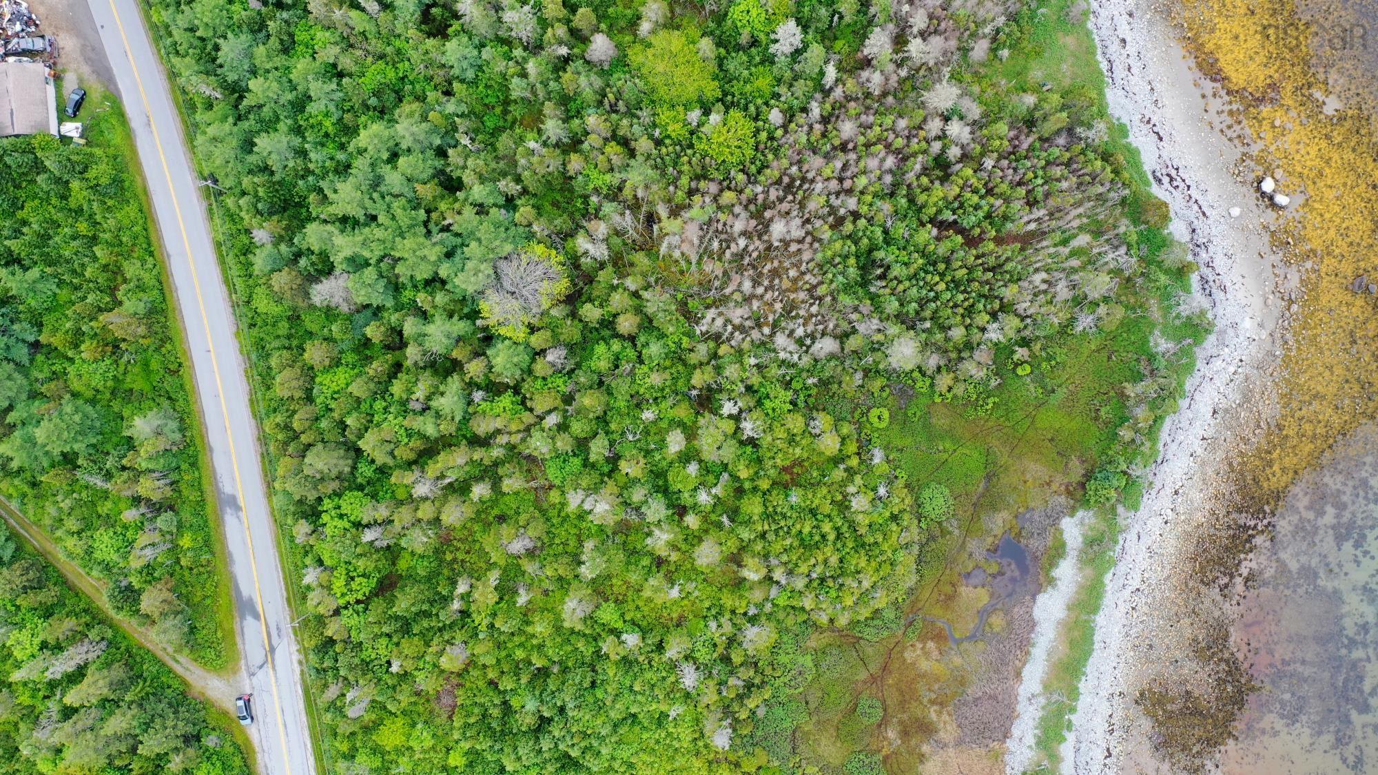 $35,000.00: Shore Road, North East Harbour