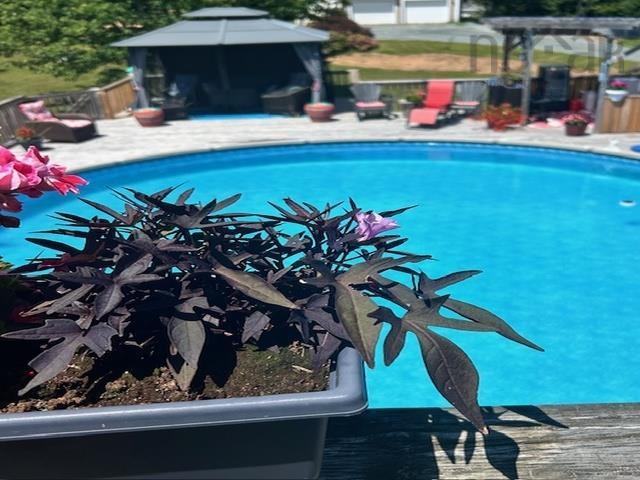 $668,000.00: 59 Sandy Point Road, Porters Lake