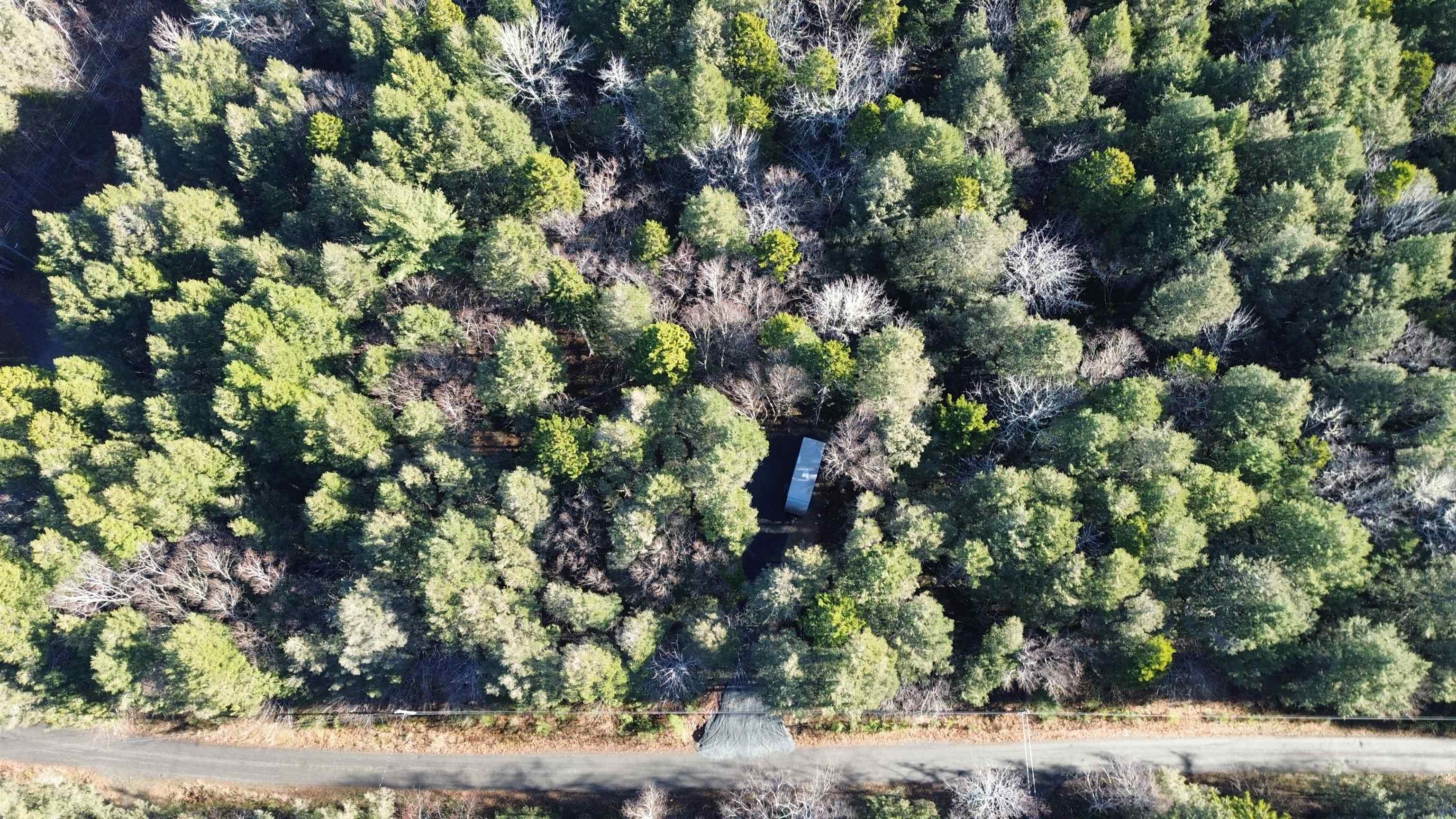 $35,000.00: Lot 15 Horseback Hideway, Labelle