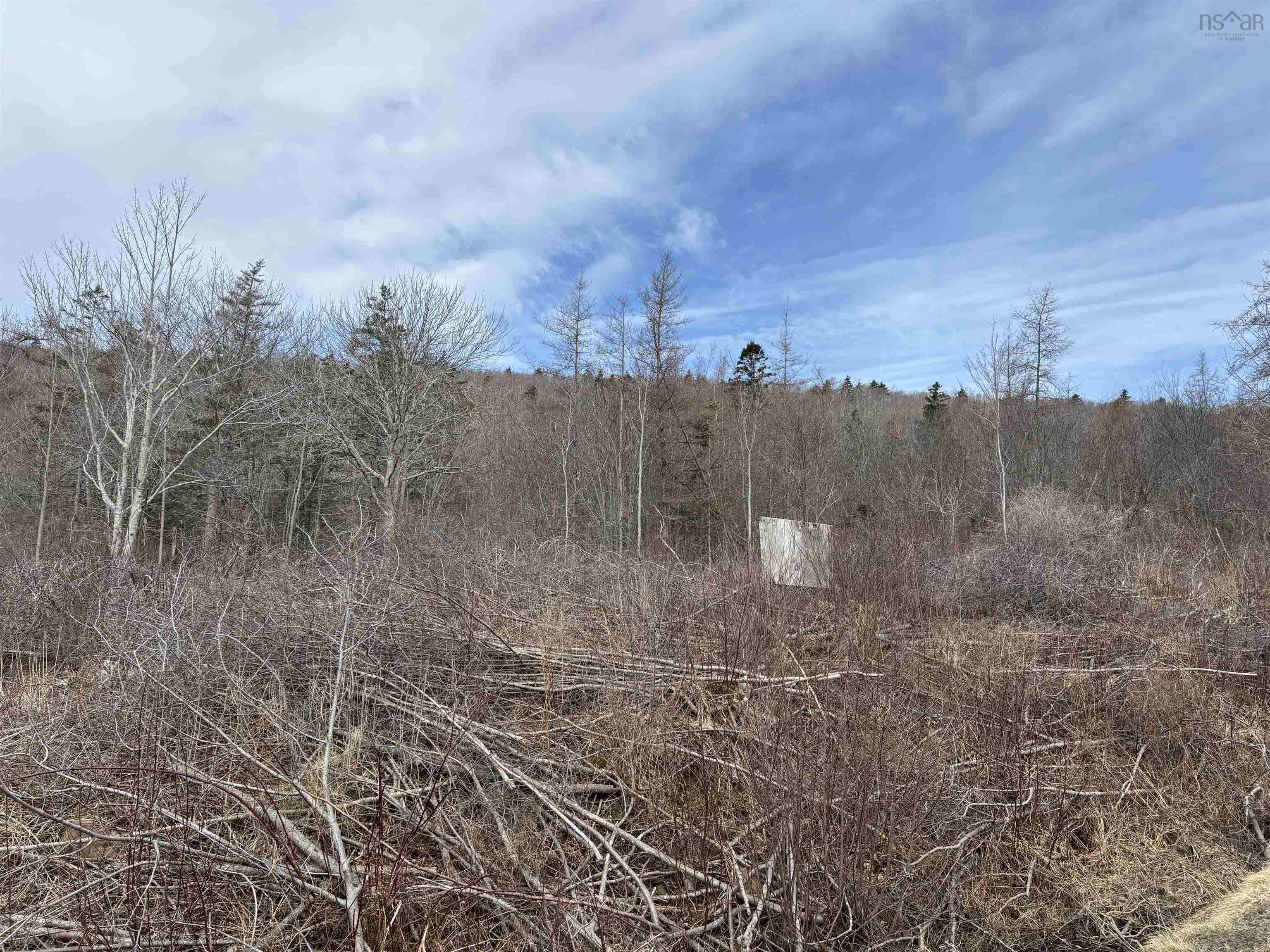 Culloden Road, Mount Pleasant, NS (MLS 202528355)