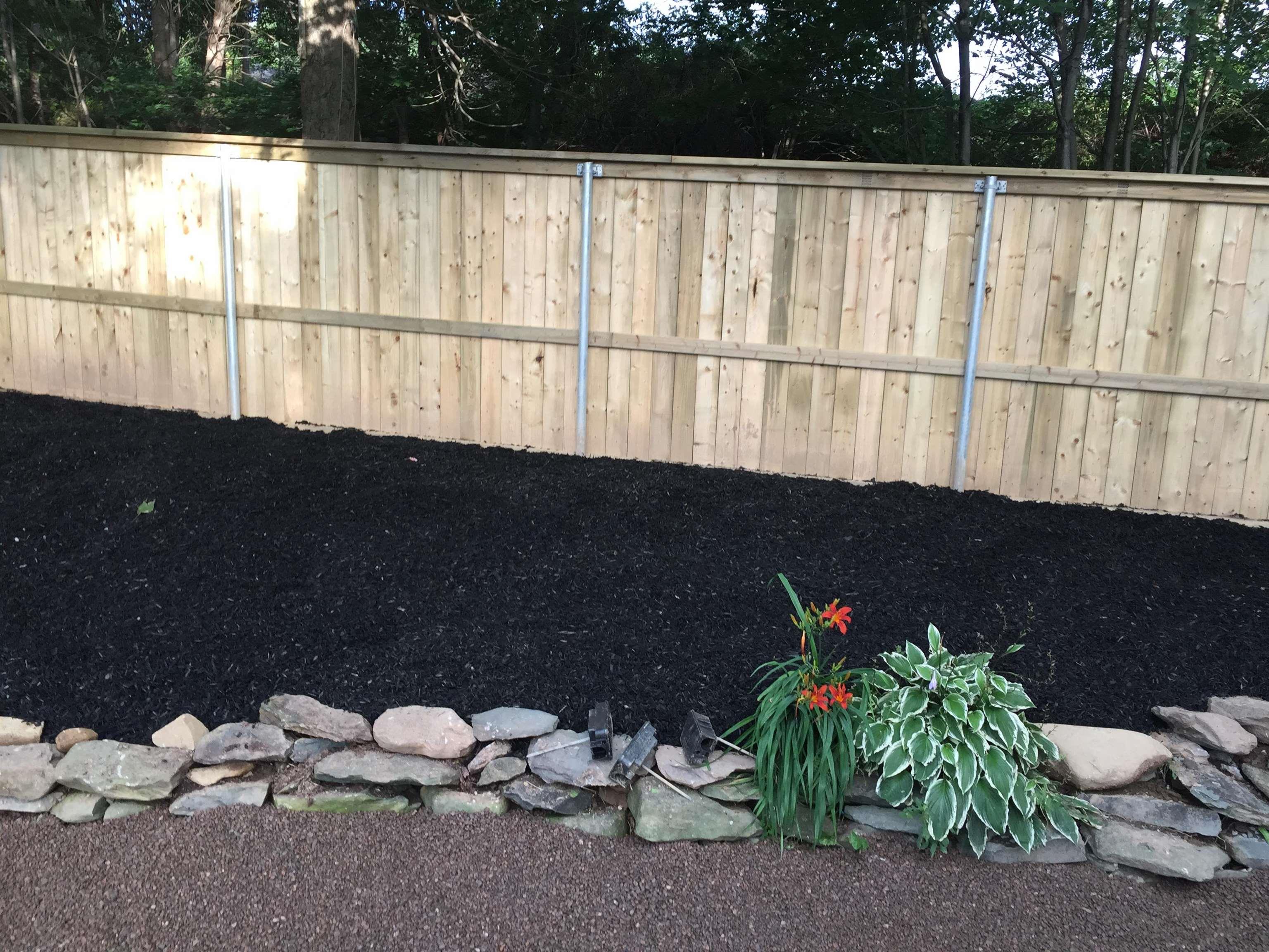 29 & 31 Caledonia Road, Dartmouth, NS (MLS 202528382)