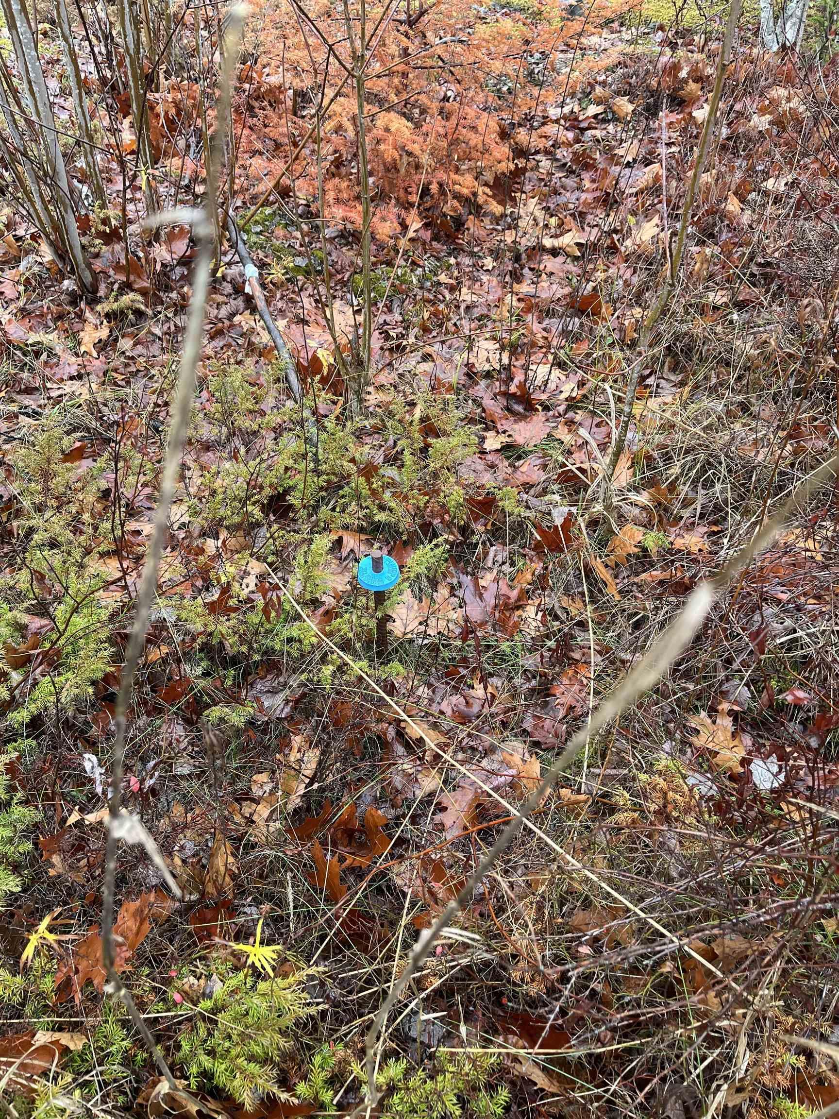 $164,895.00: Lot 2021-1 Crocker Road, Harmony