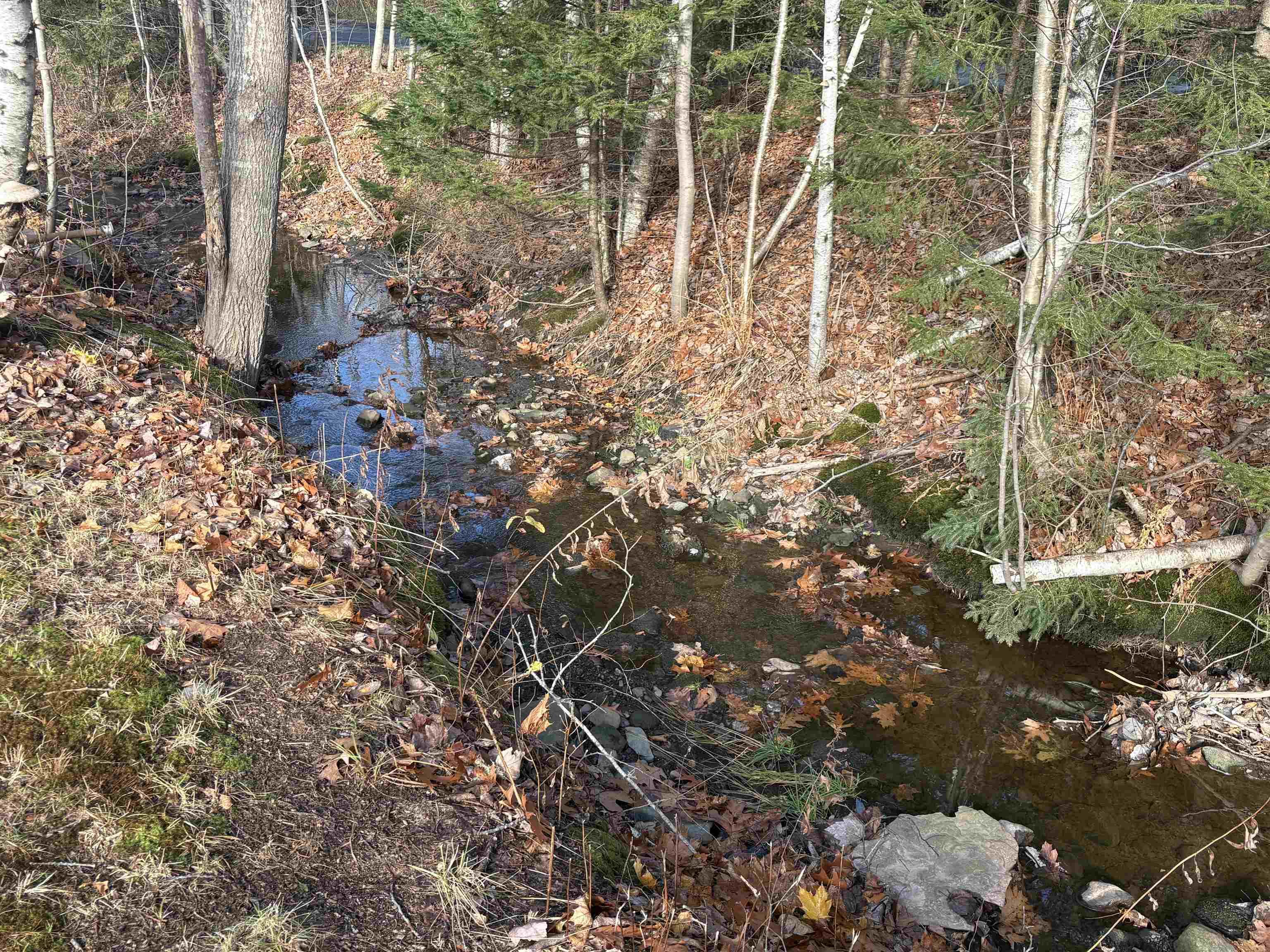 294 Beaver Bank Road, Beaver Bank, NS (MLS 202528398)