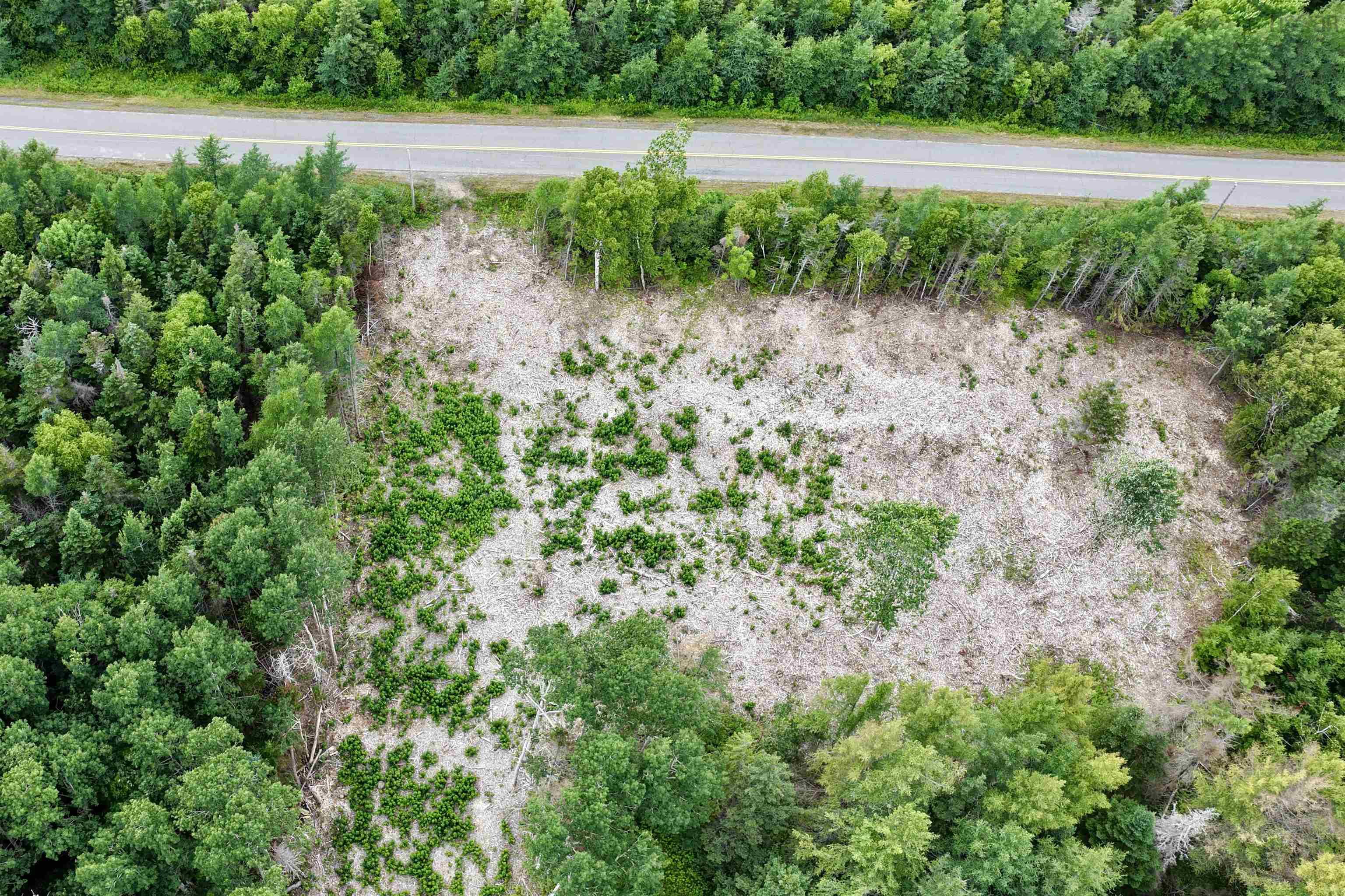 $75,000.00: Lot 24-1 Shore Road, Judique