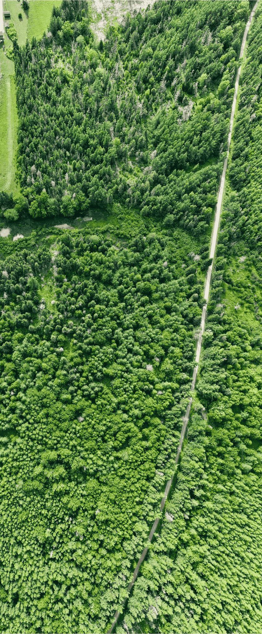 $75,000.00: Lot 24-1 Shore Road, Judique