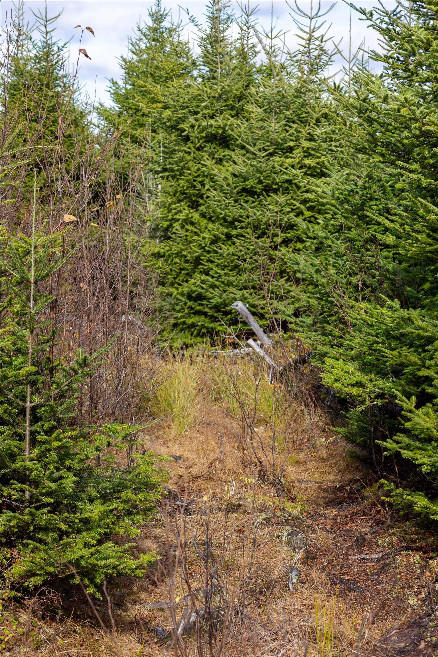 $249,900.00: Acreage Sonora Road, Sherbrooke