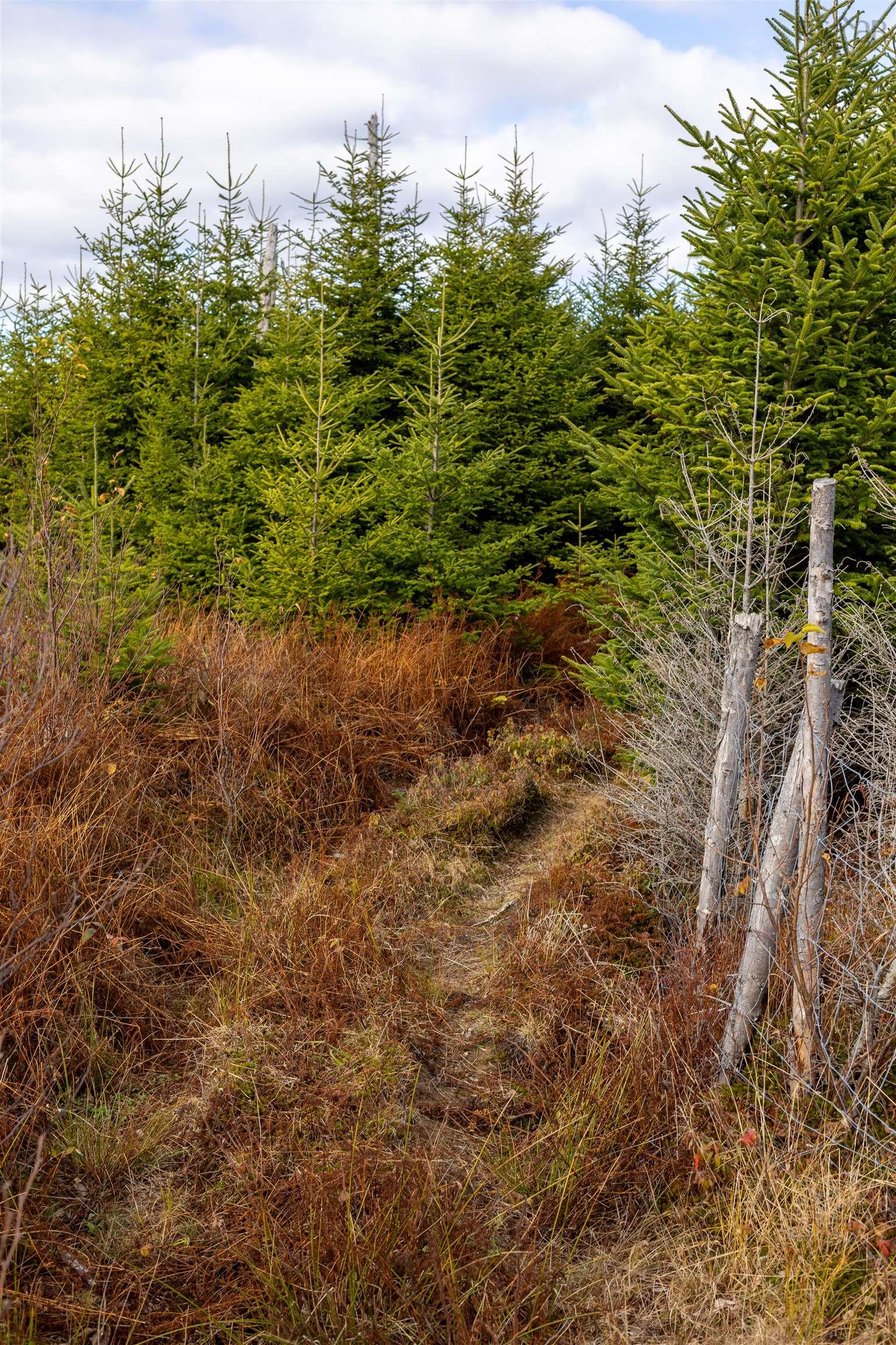 $249,900.00: Acreage Sonora Road, Sherbrooke