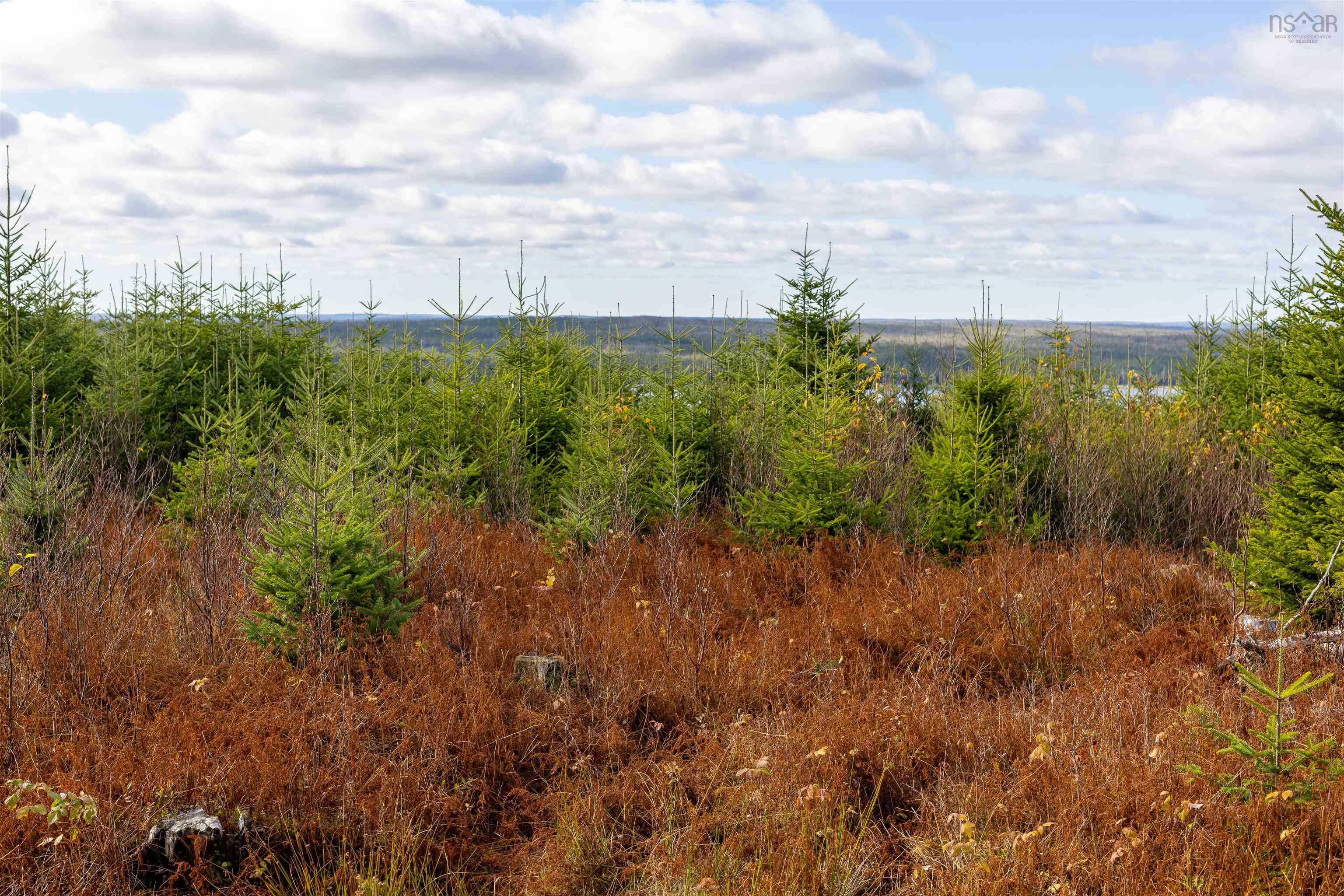 $249,900.00: Acreage Sonora Road, Sherbrooke