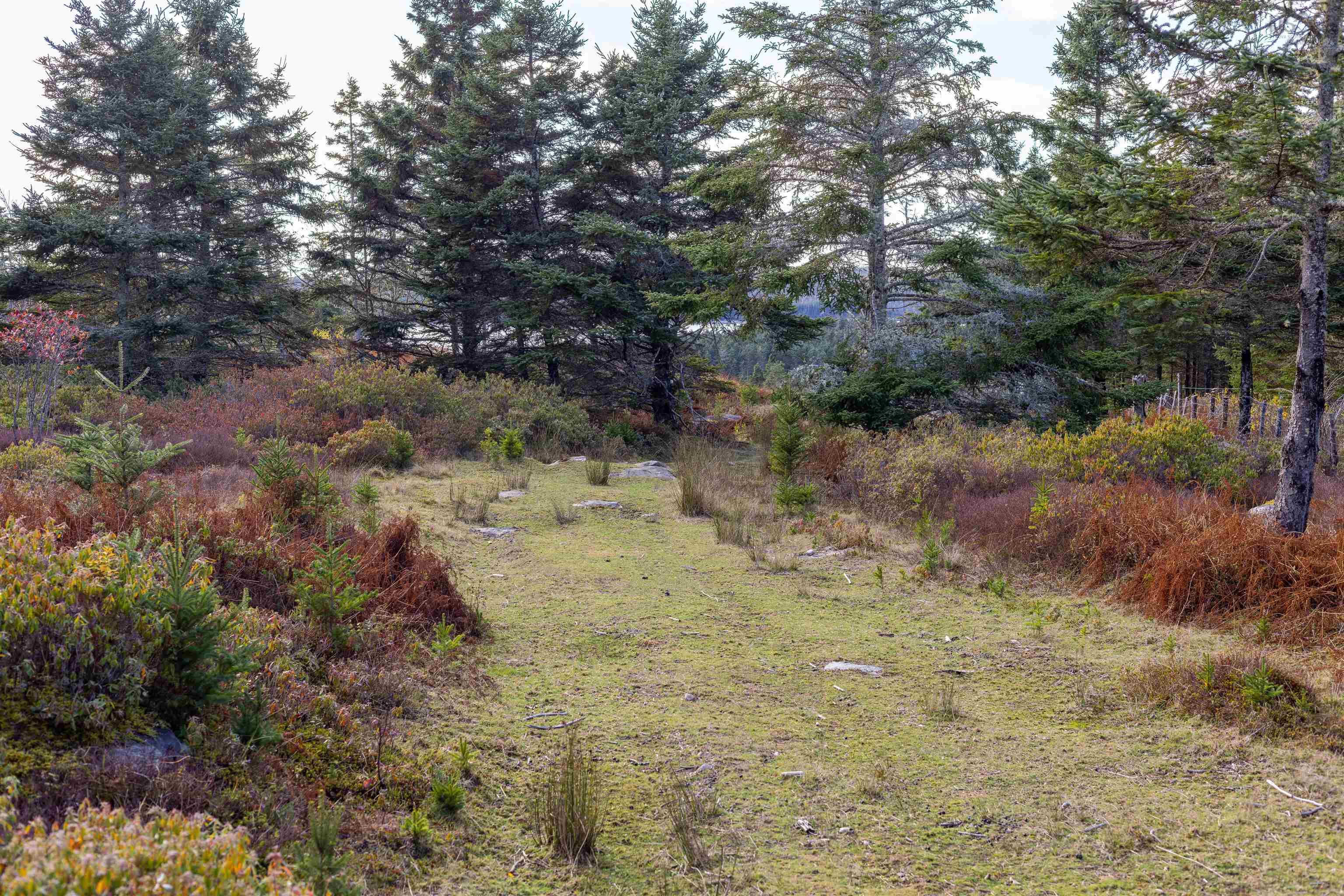 $249,900.00: Acreage Sonora Road, Sherbrooke