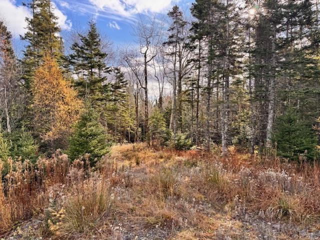 $79,000.00: Lot 1A-17 Maple Drive, Cape George Estates