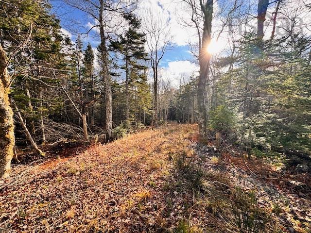 $79,000.00: Lot 1A-17 Maple Drive, Cape George Estates