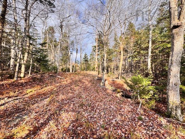 $79,000.00: Lot 1A-17 Maple Drive, Cape George Estates