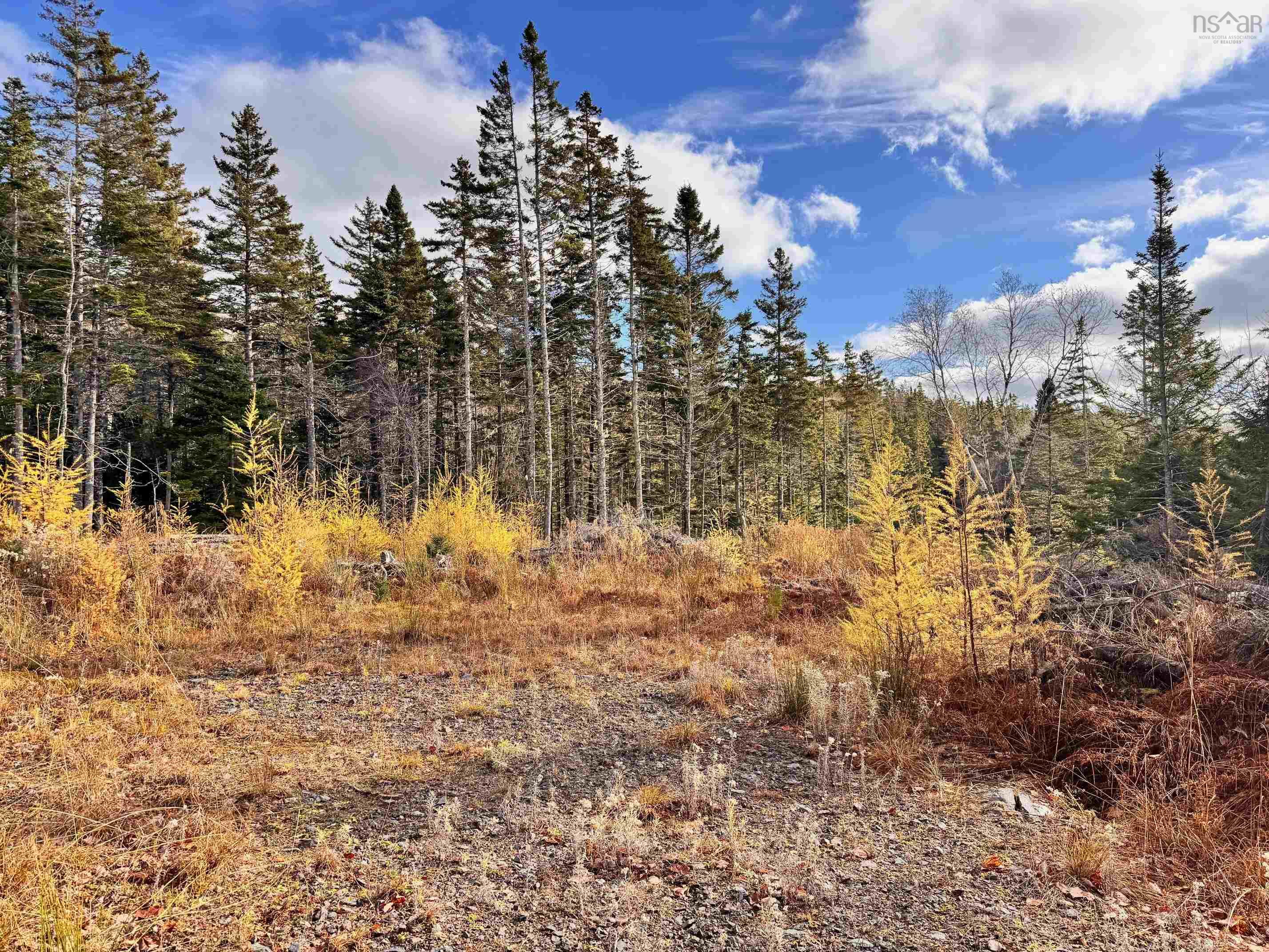 $79,000.00: Lot 1A-17 Maple Drive, Cape George Estates