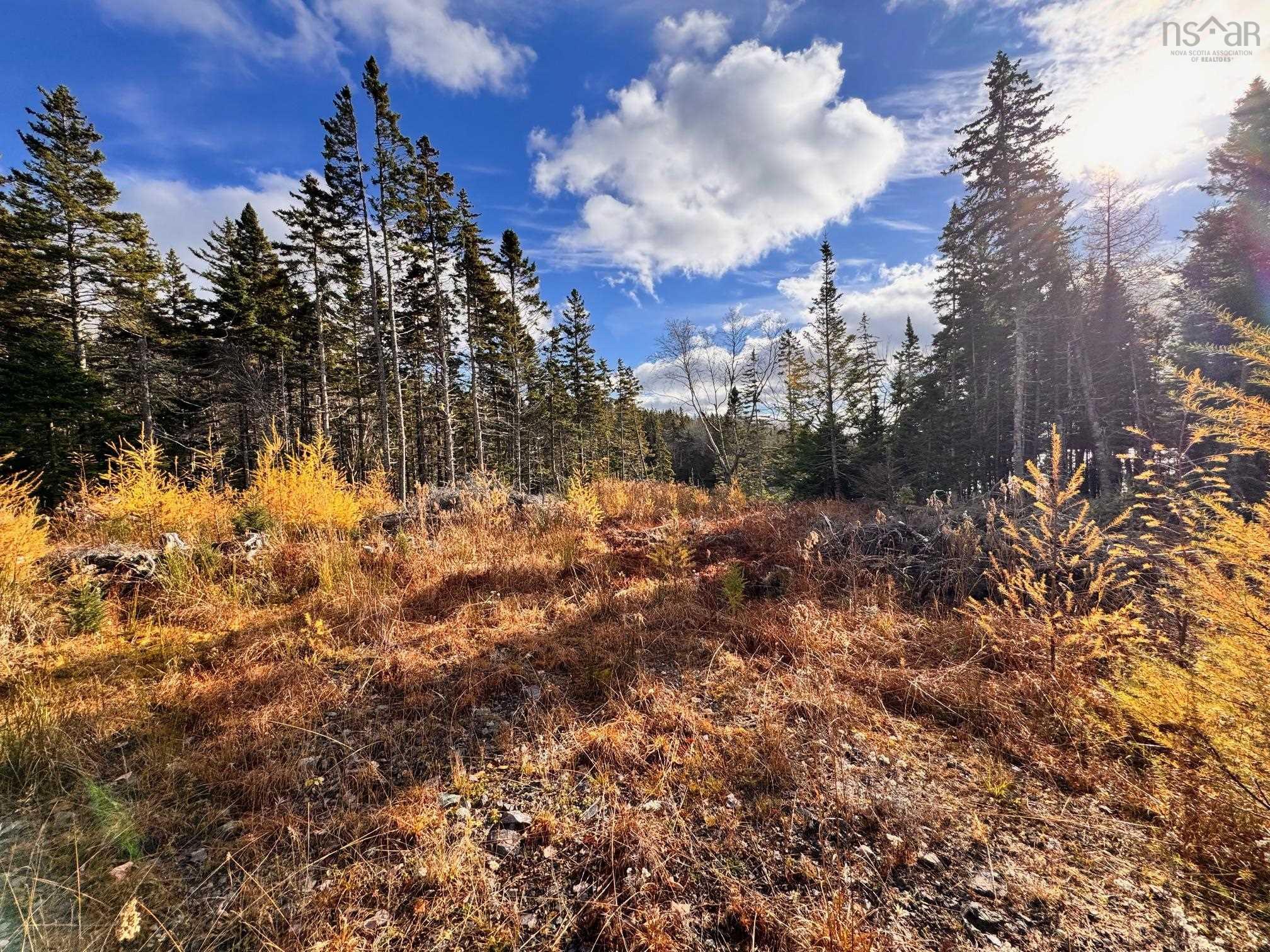 $79,000.00: Lot 1A-17 Maple Drive, Cape George Estates