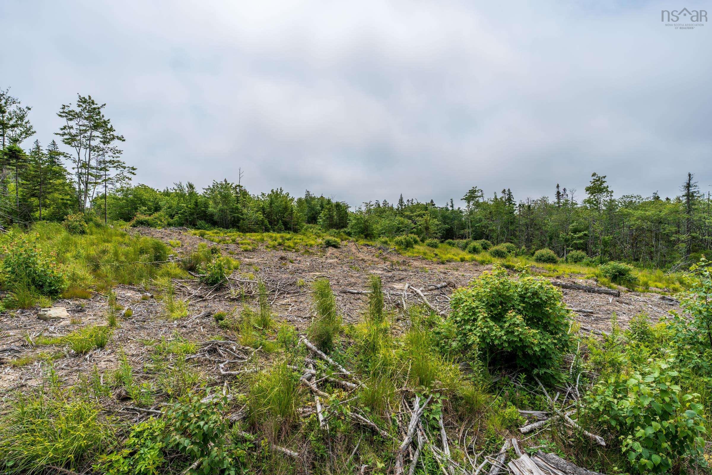 $20,000.00: Lots Peter Leblanc Road, Meteghan