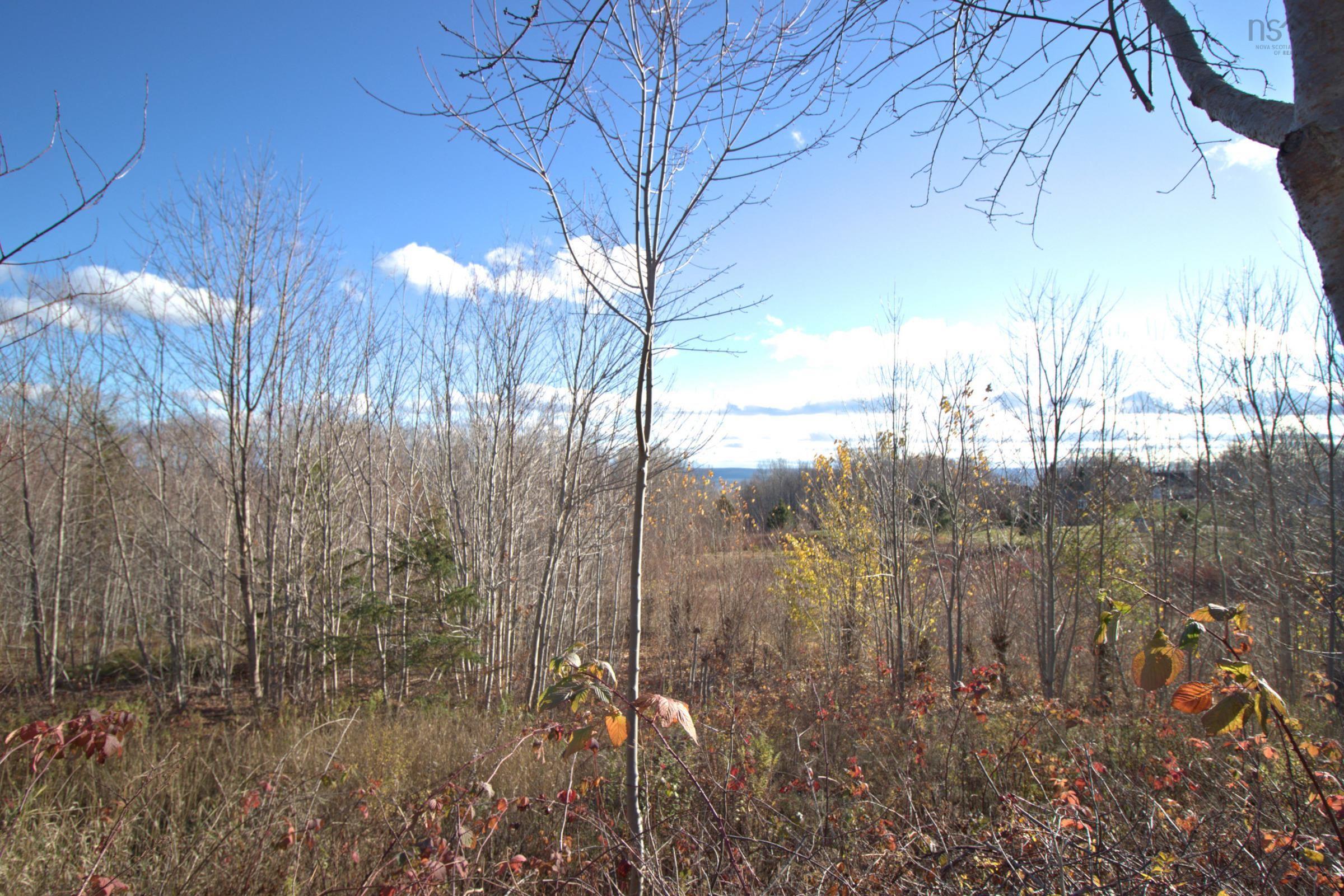 $799,000.00: 516 Burgess Mountain Road, Woodville