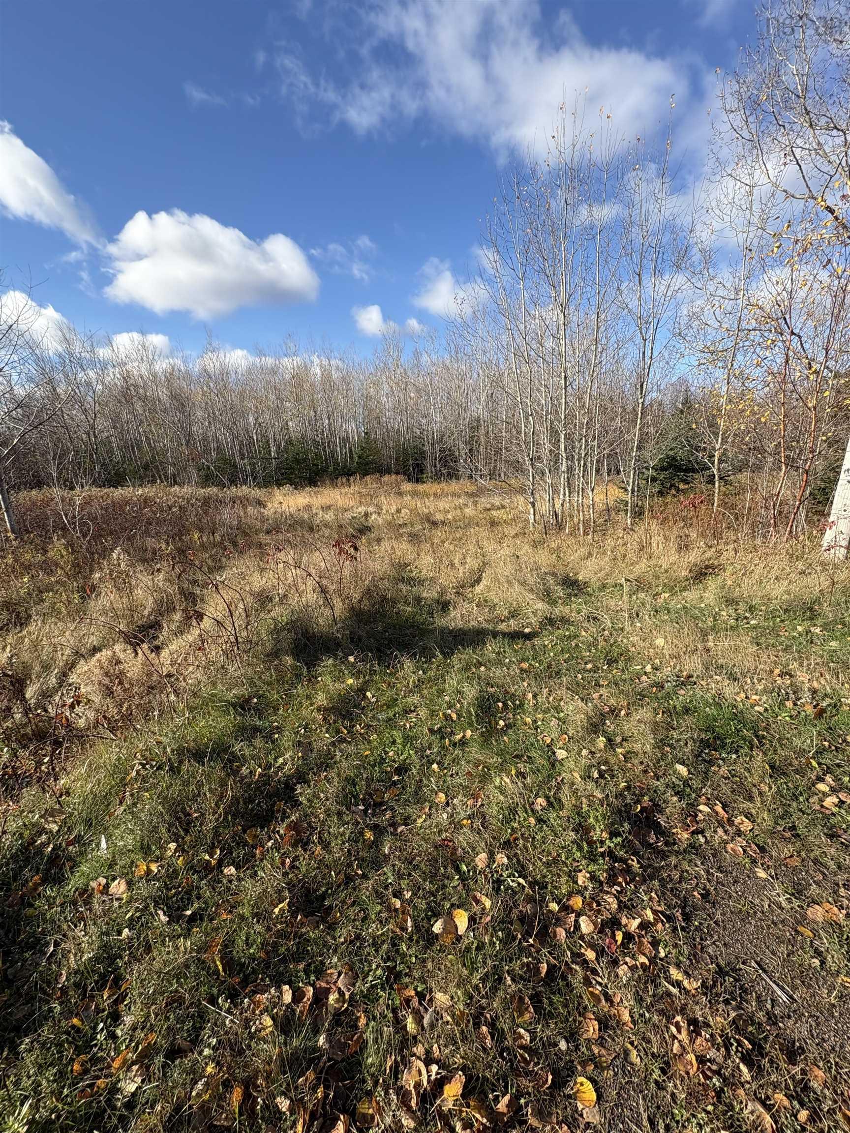 $44,900.00: VL Malagash Road, Malagash Centre