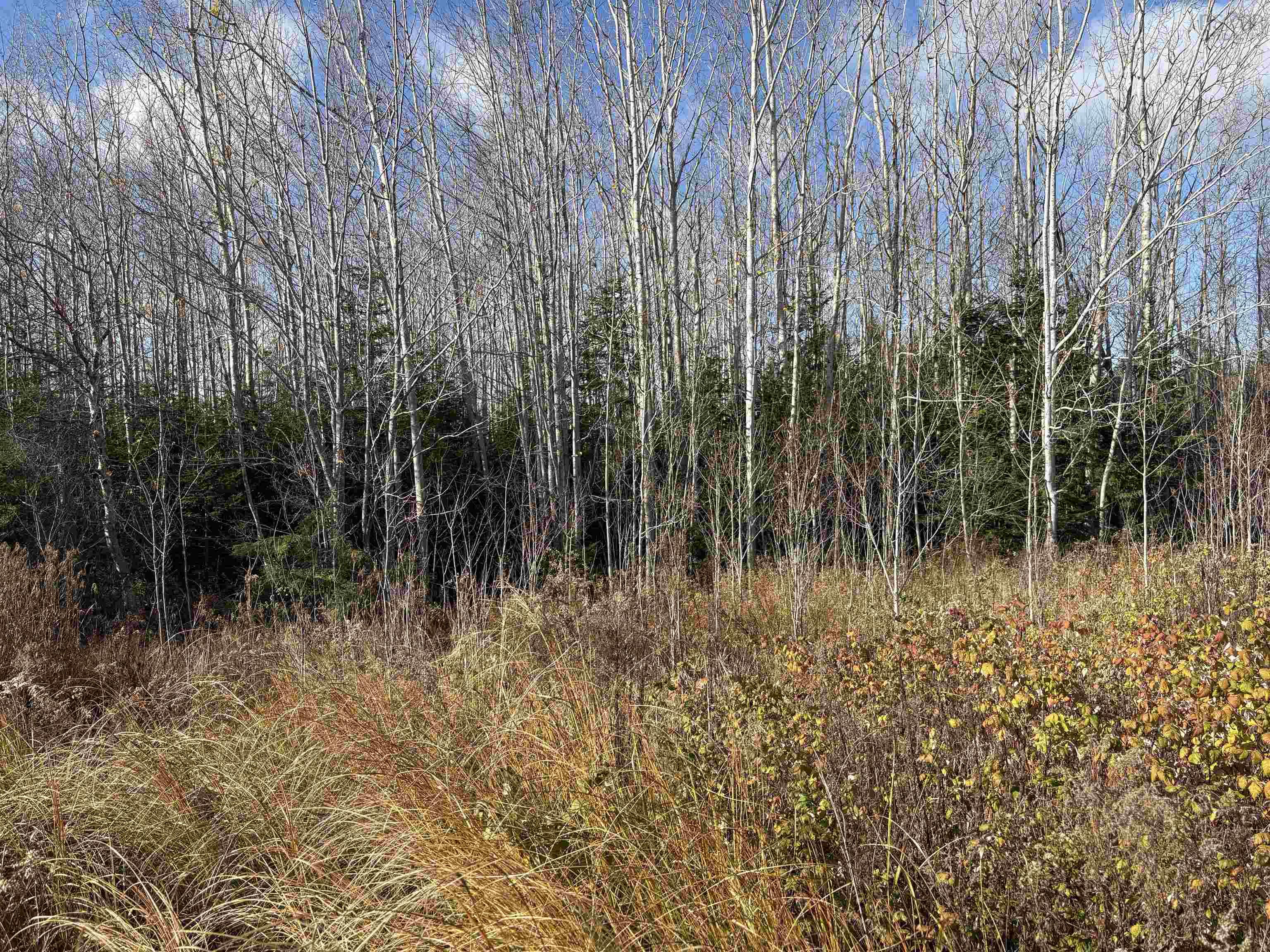 $44,900.00: VL Malagash Road, Malagash Centre