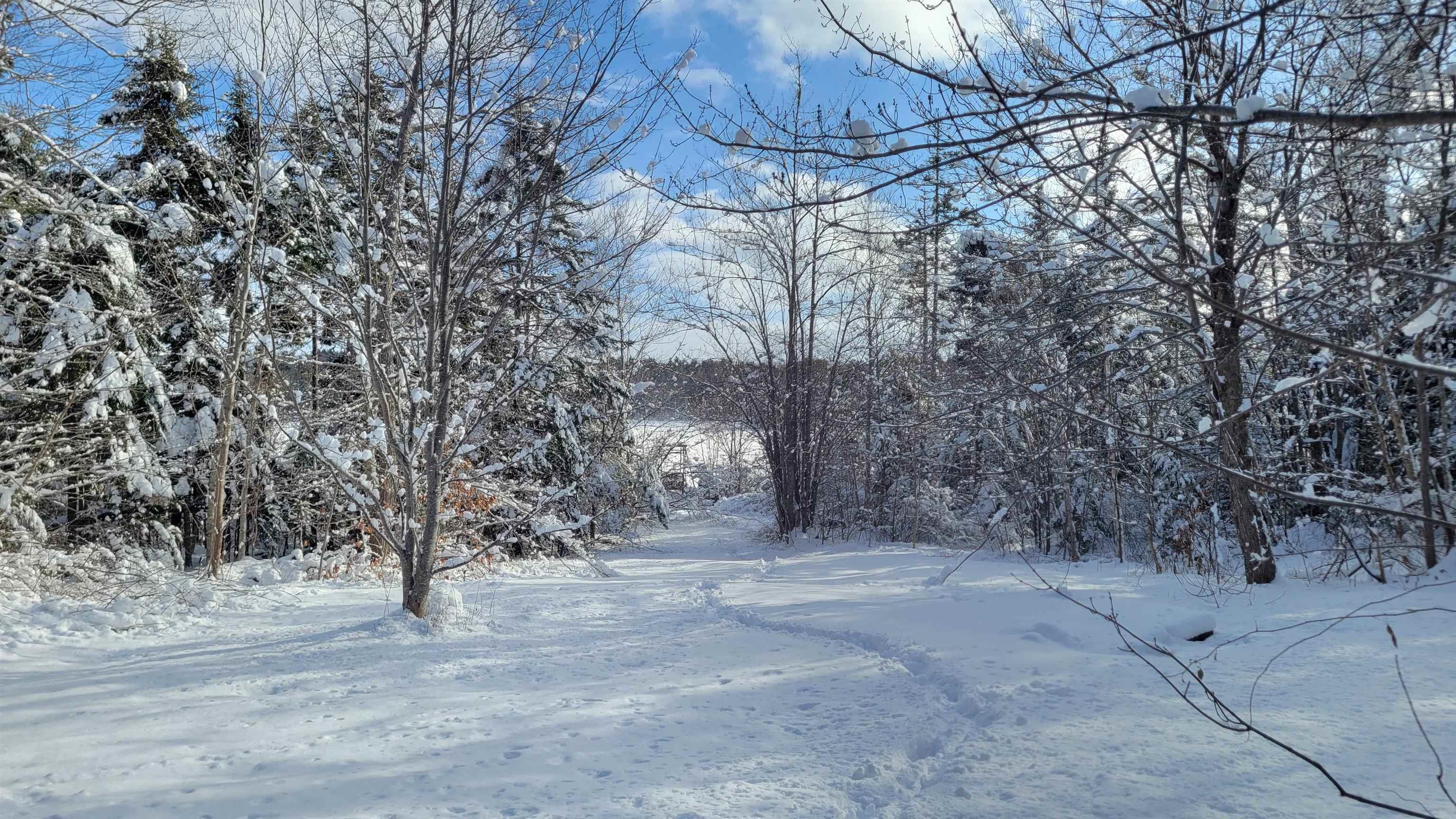 29 Major Court, Upper Sackville, NS (MLS 202528496)