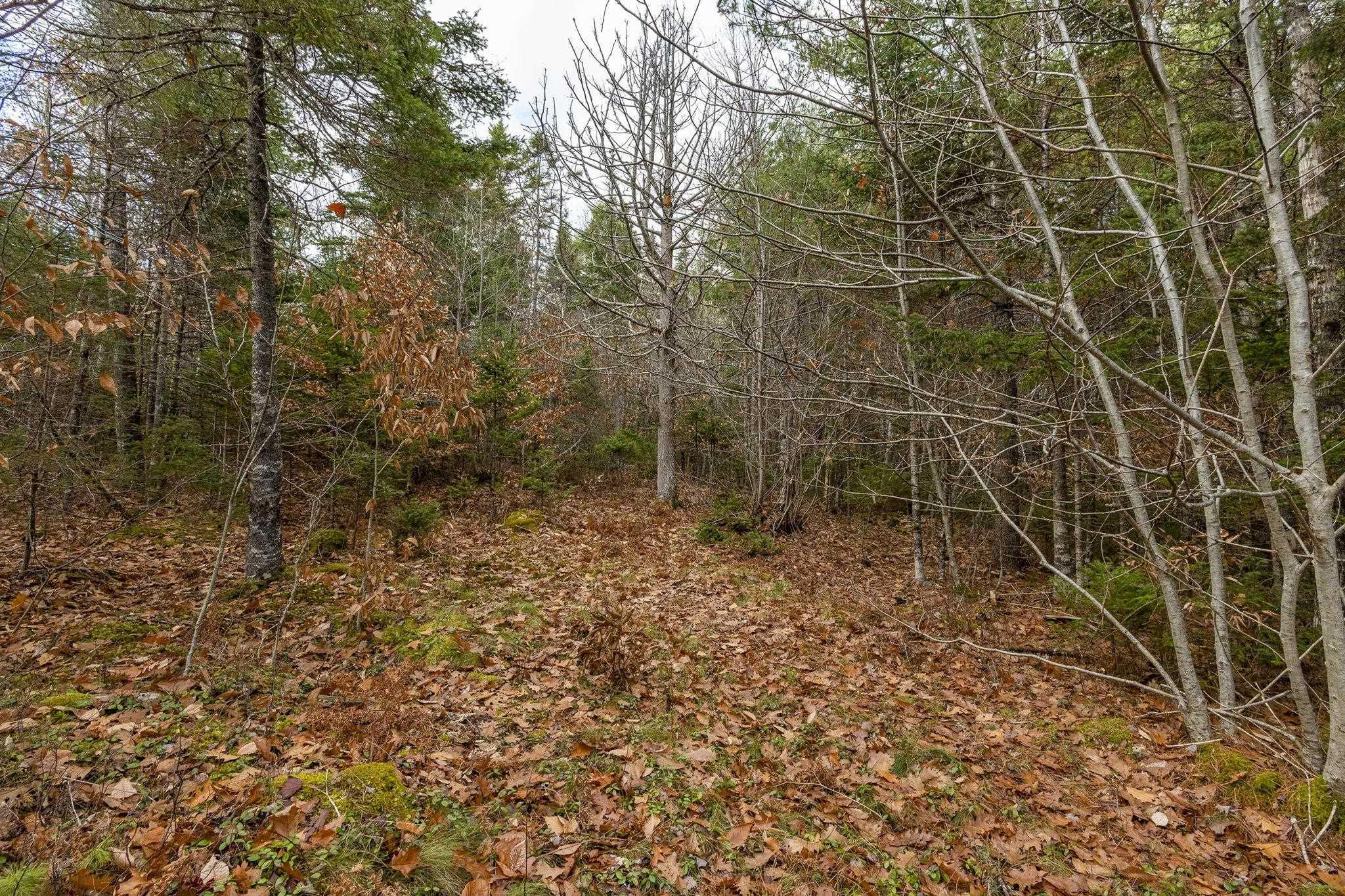 $129,900.00: 741 Westfield Road, Westfield