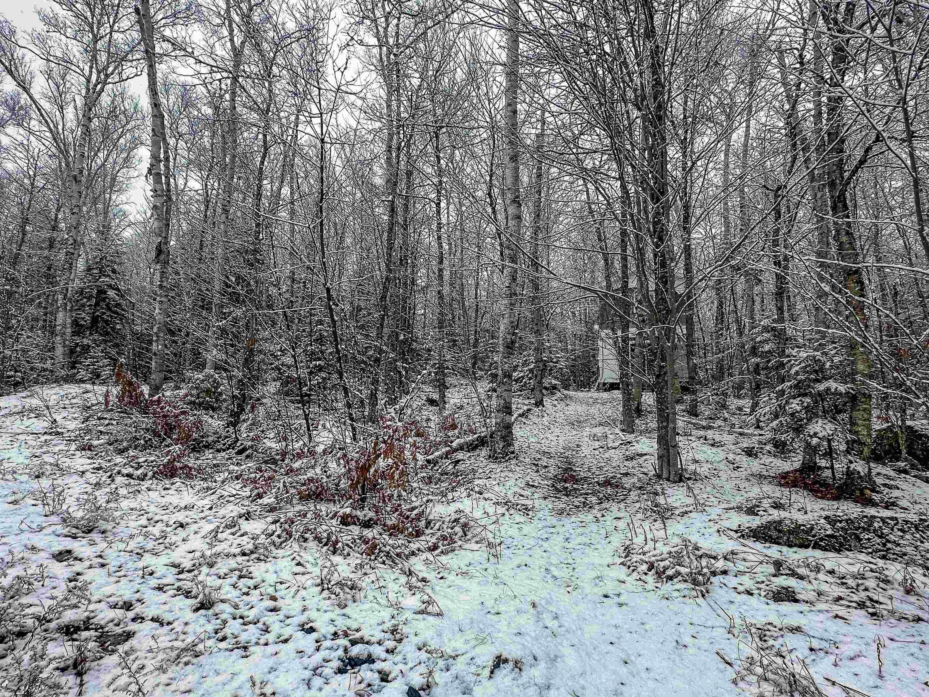 $120,000.00: 136 Pioneer Drive, Vaughan