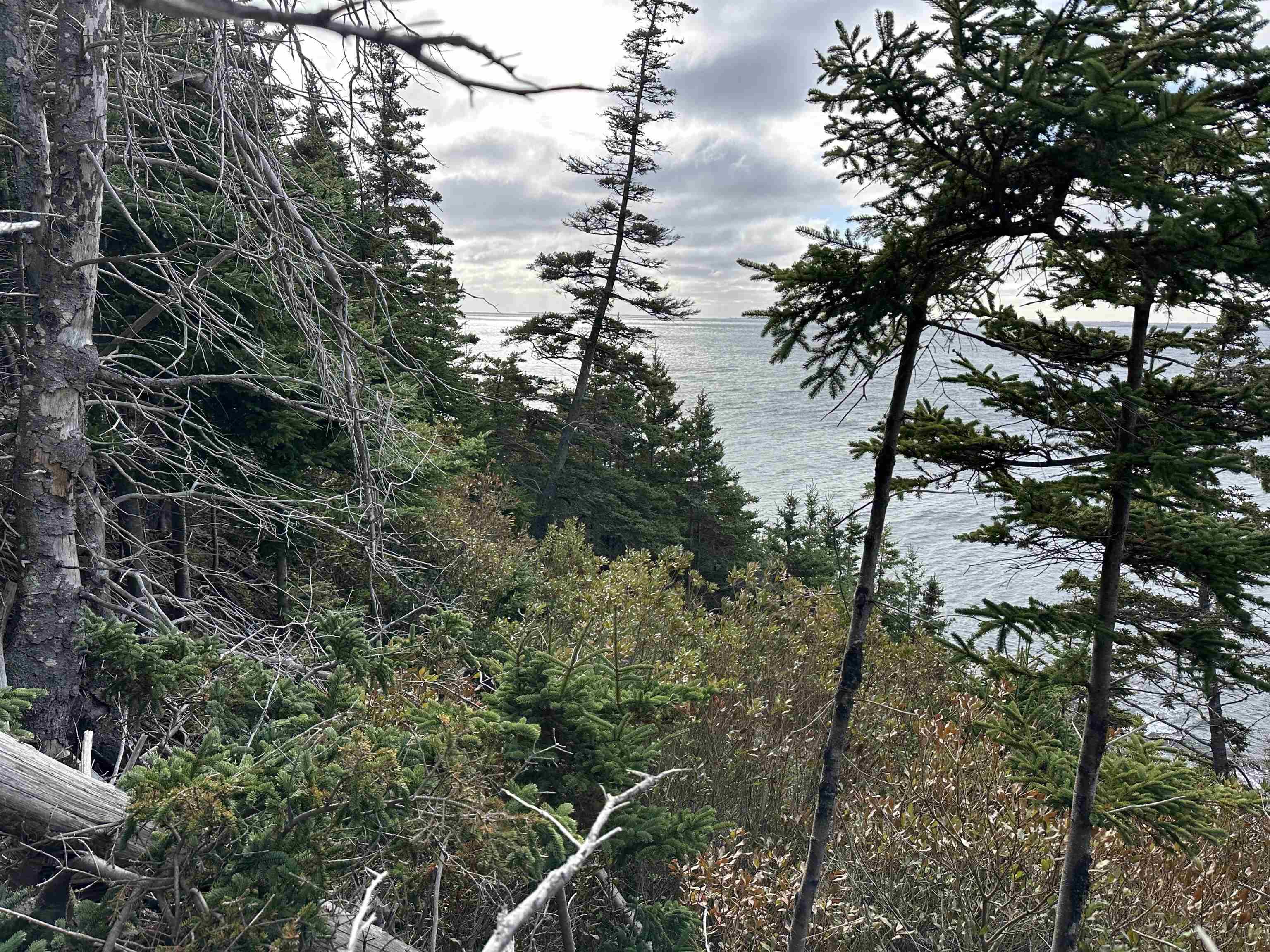 $299,900.00: 183 Big Tancook Island Road, Big Tancook Island